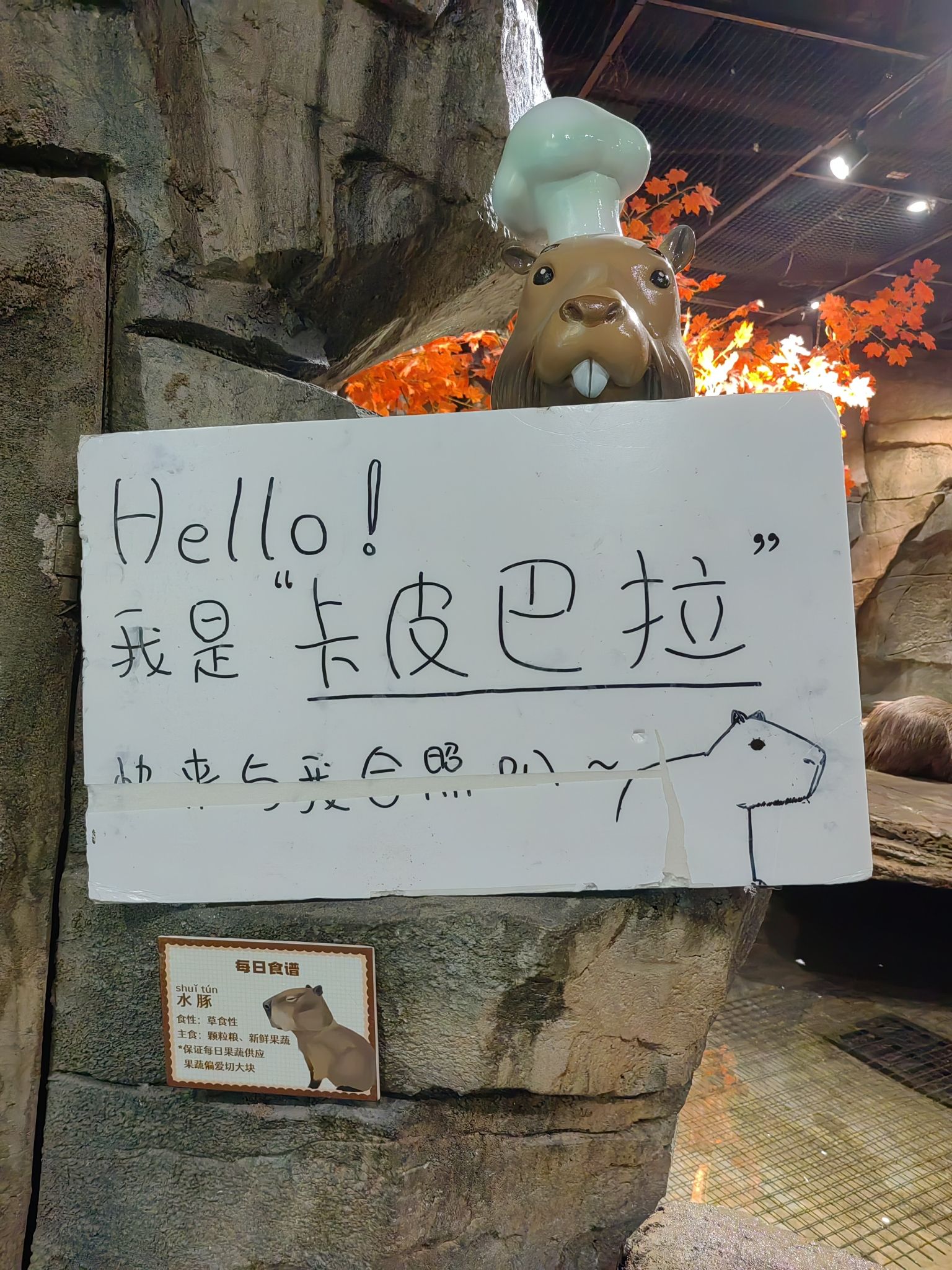 灵客欢乐动物园旅行图片 2