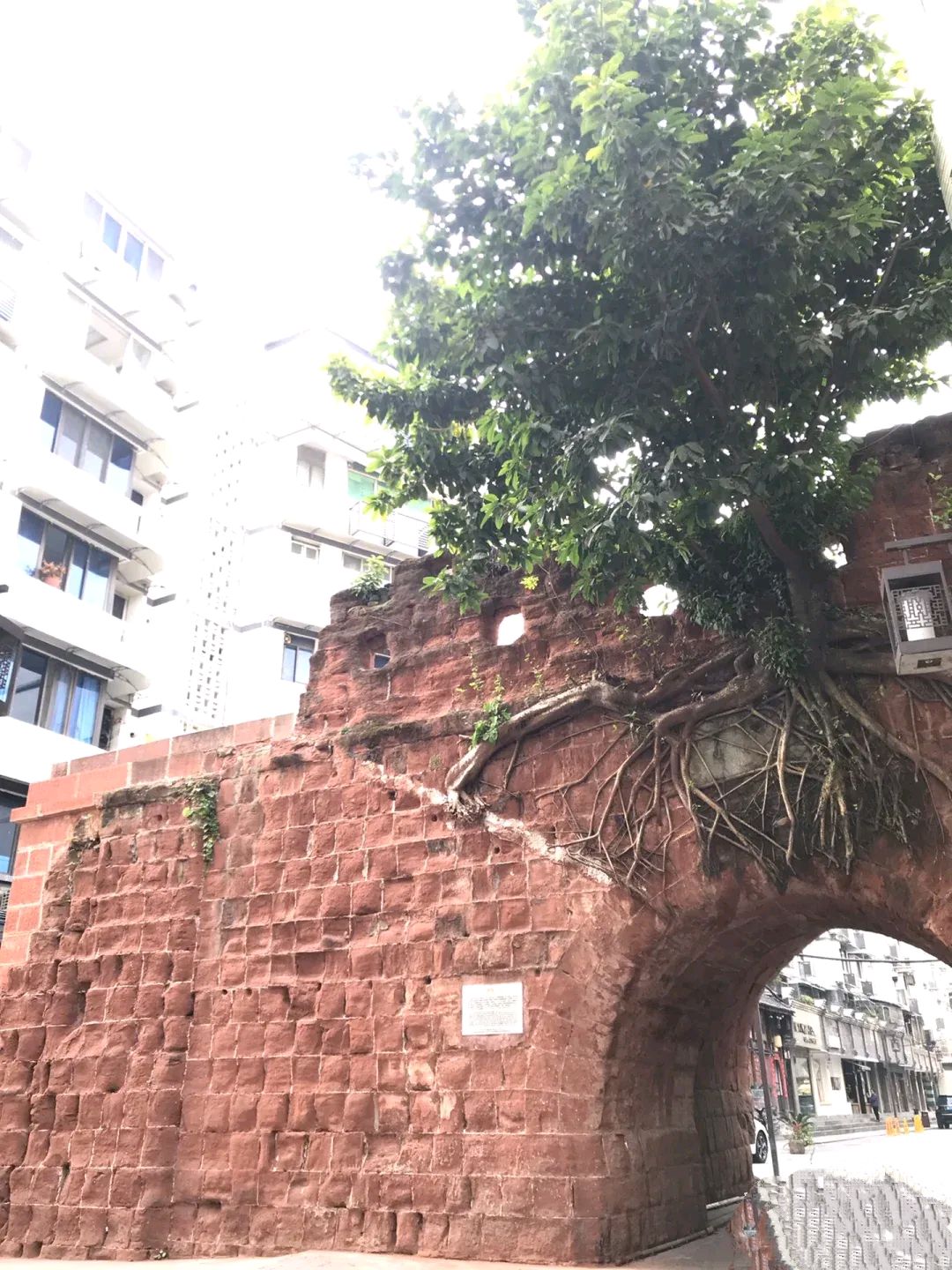 嘉州古城旅行图片 3