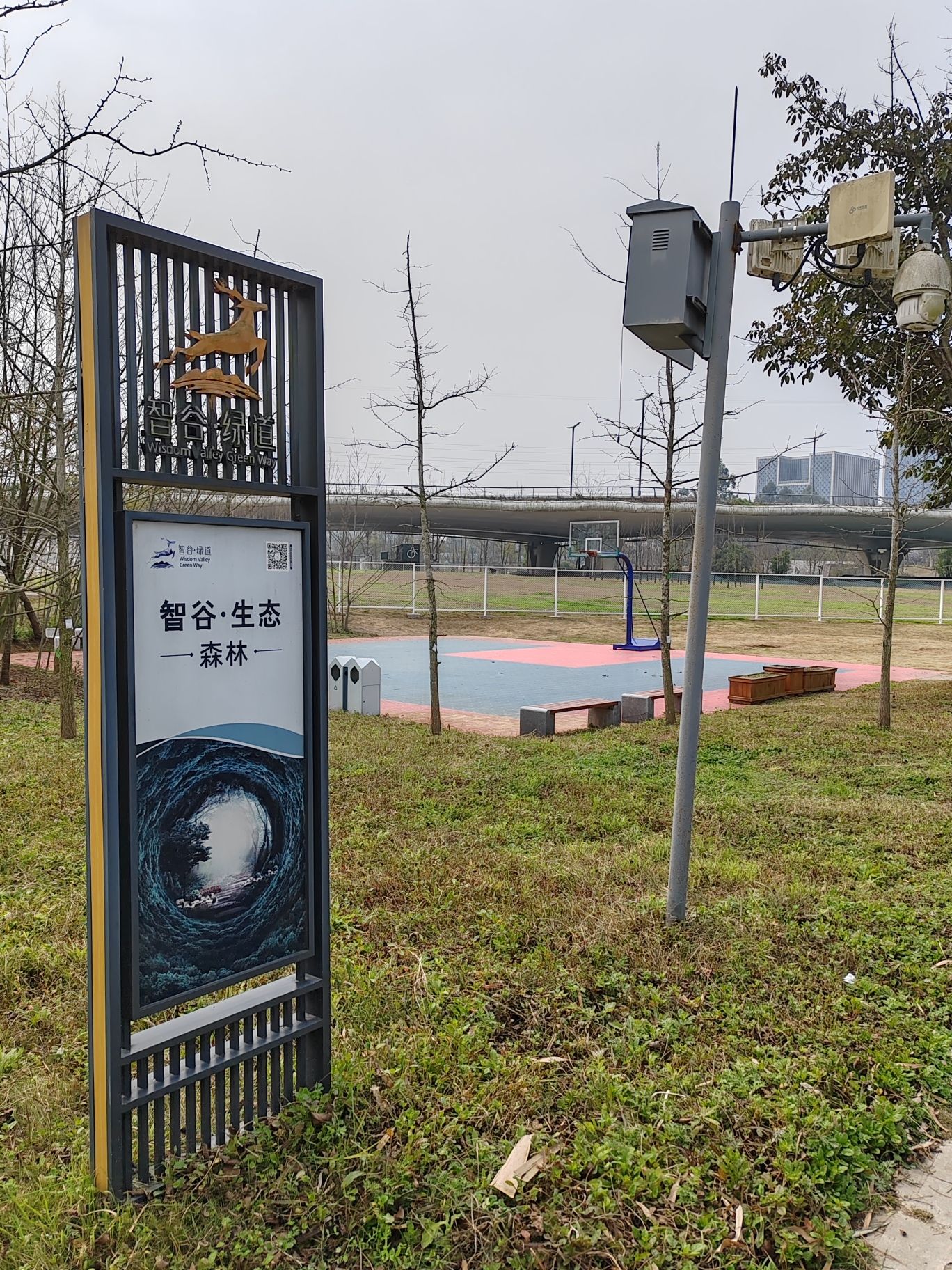场地封面-智谷绿道篮球场