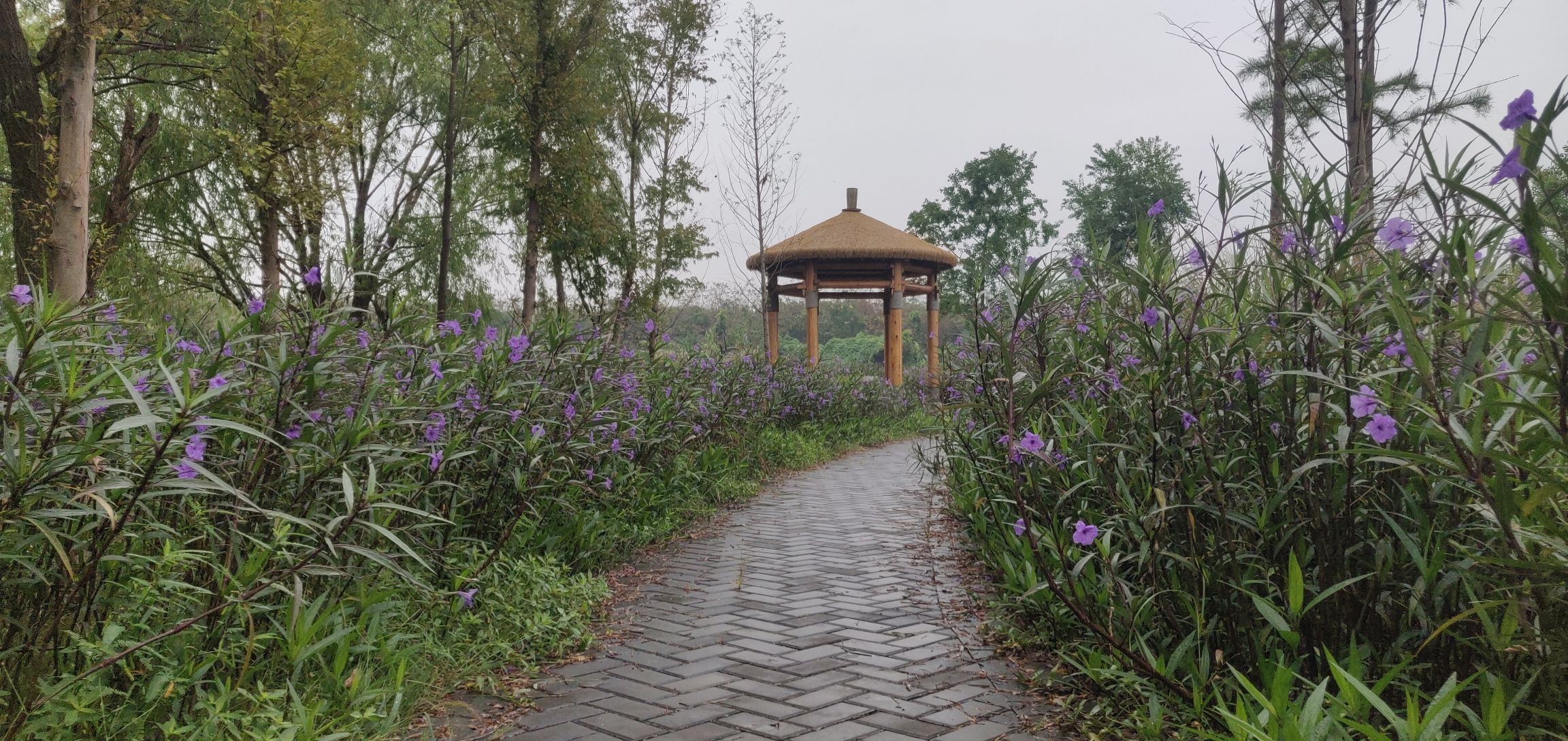 宜兴市省级湿地公园旅行图片 1