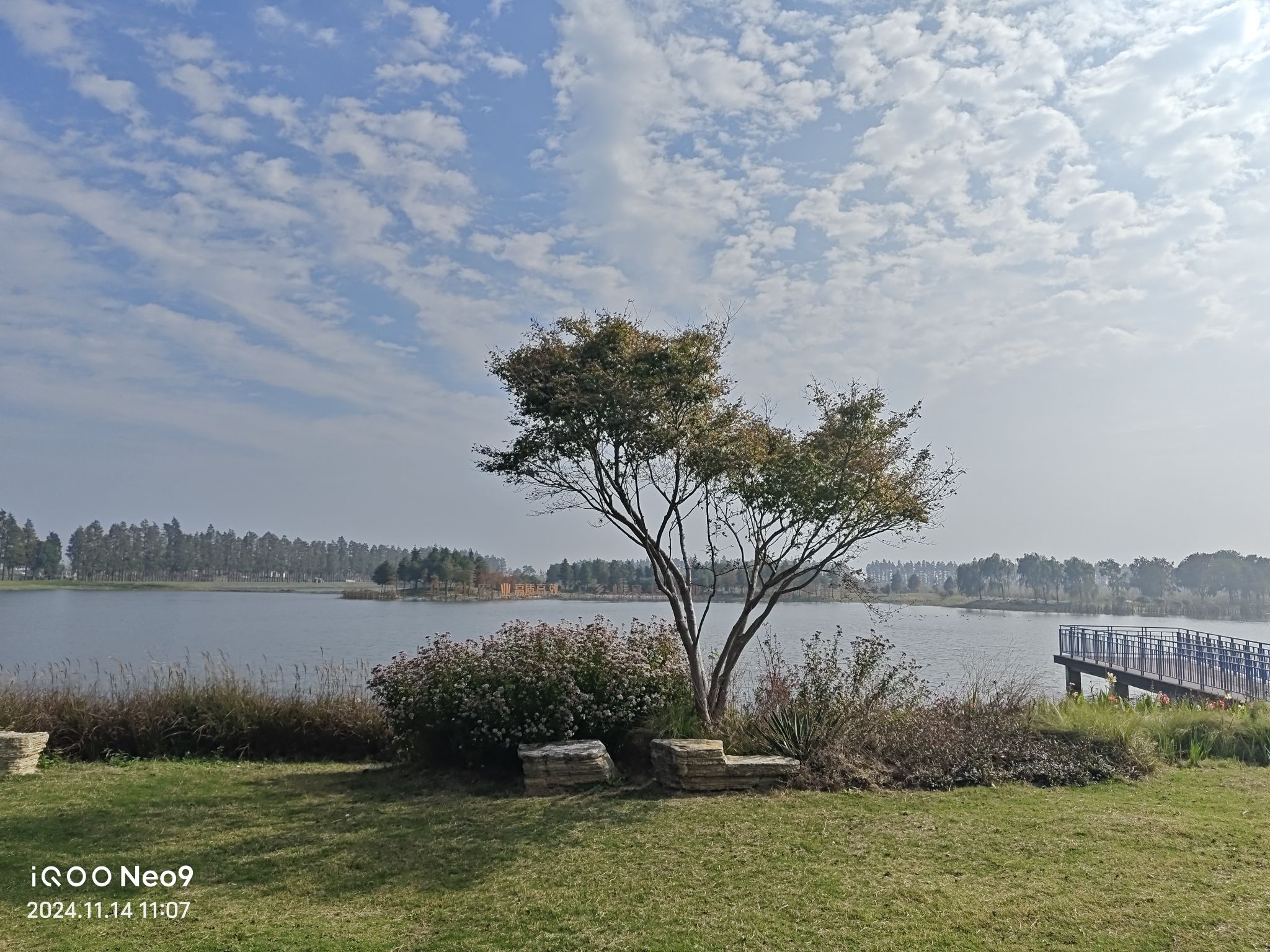 宜兴市省级湿地公园旅行图片 2