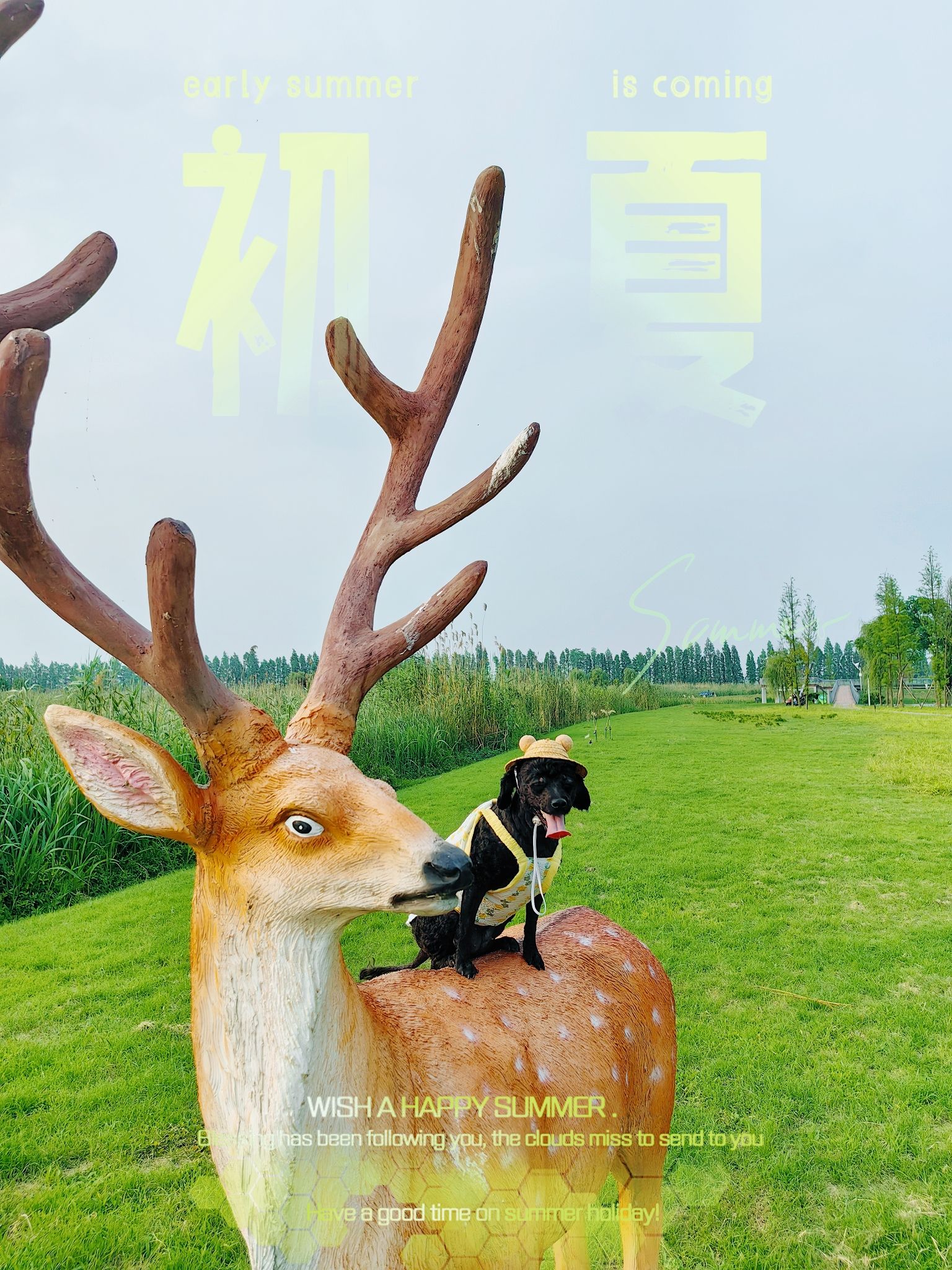 宜兴市省级湿地公园旅行图片 1