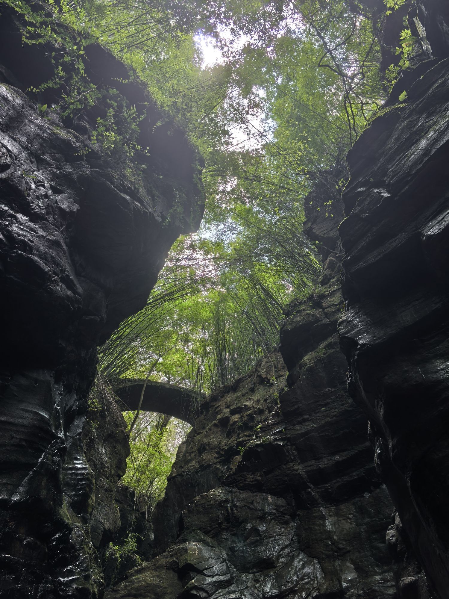 罗坑桃渊池旅行图片 2