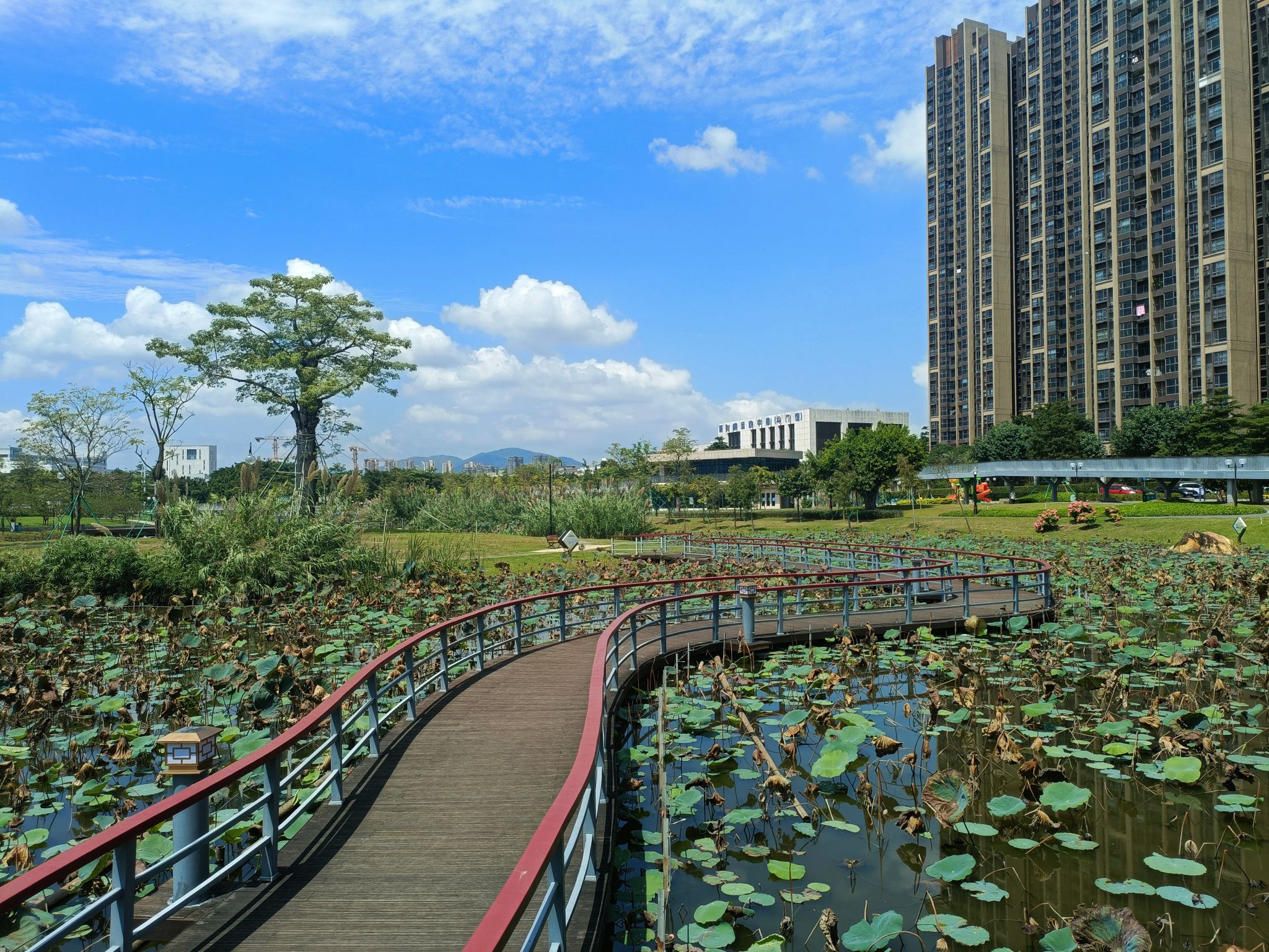 禾益生态公园旅行图片 3
