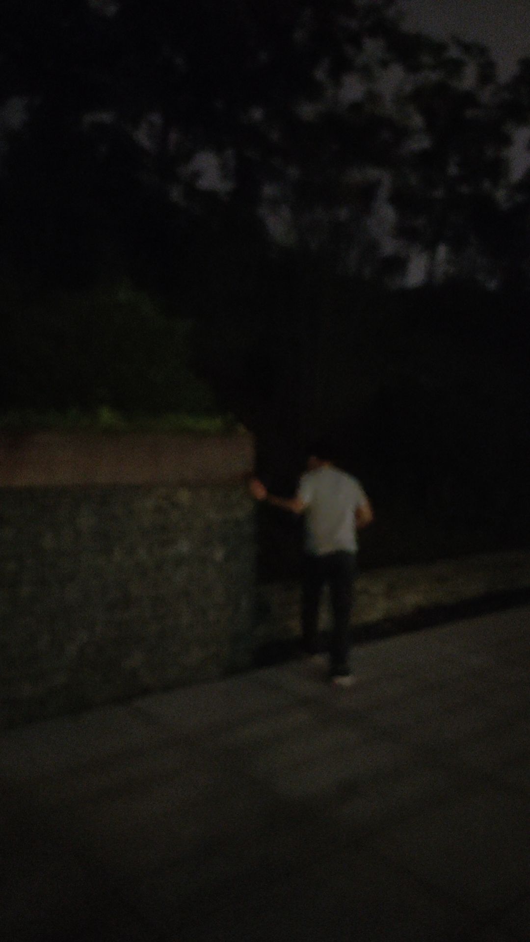 龙涧溪公园旅行图片 3