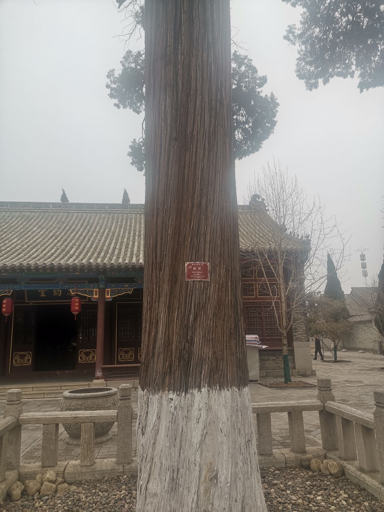 渔洋法治公园旅行图片 2
