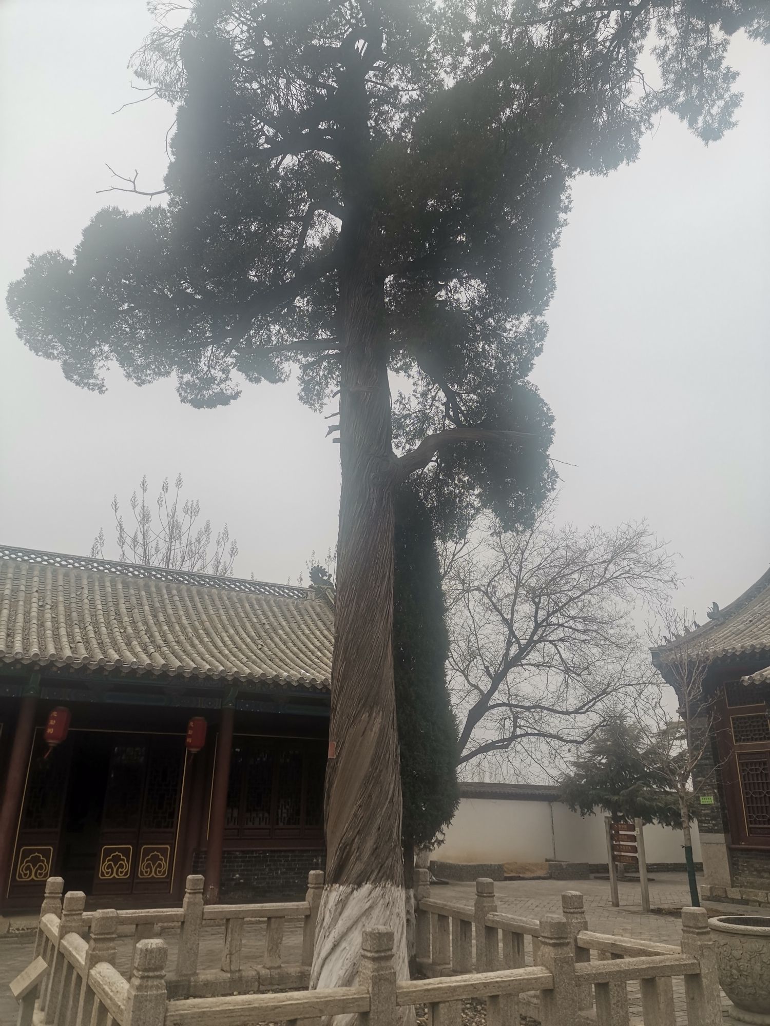 渔洋法治公园旅行图片 1