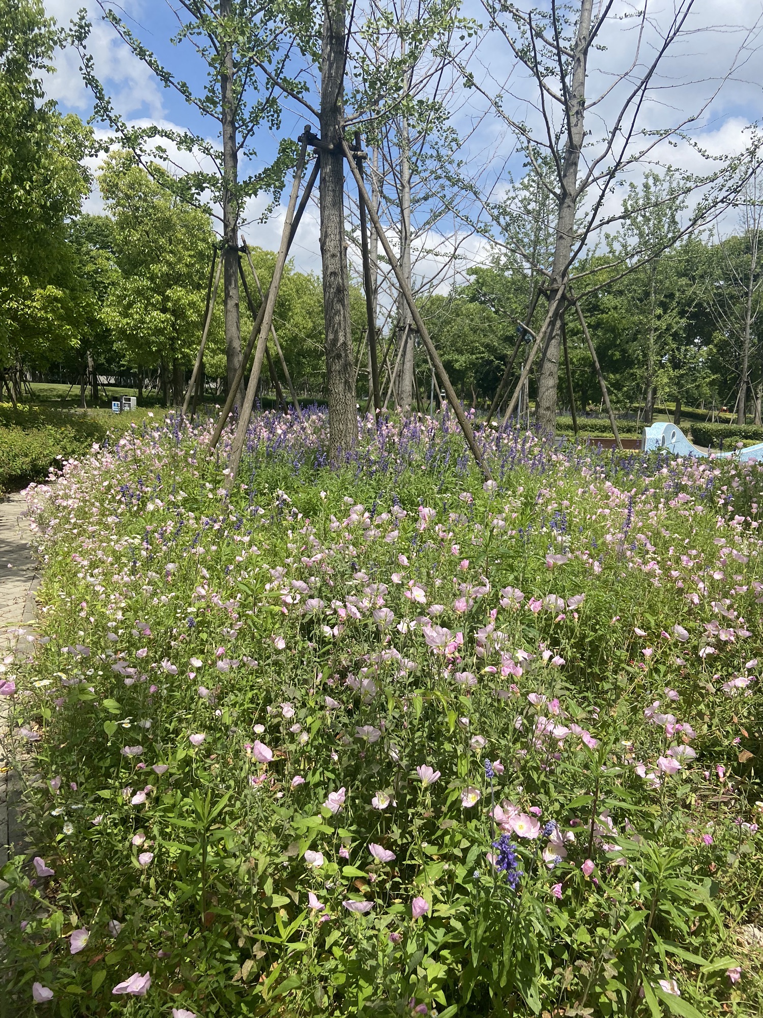 半马苏河公园旅行图片 3