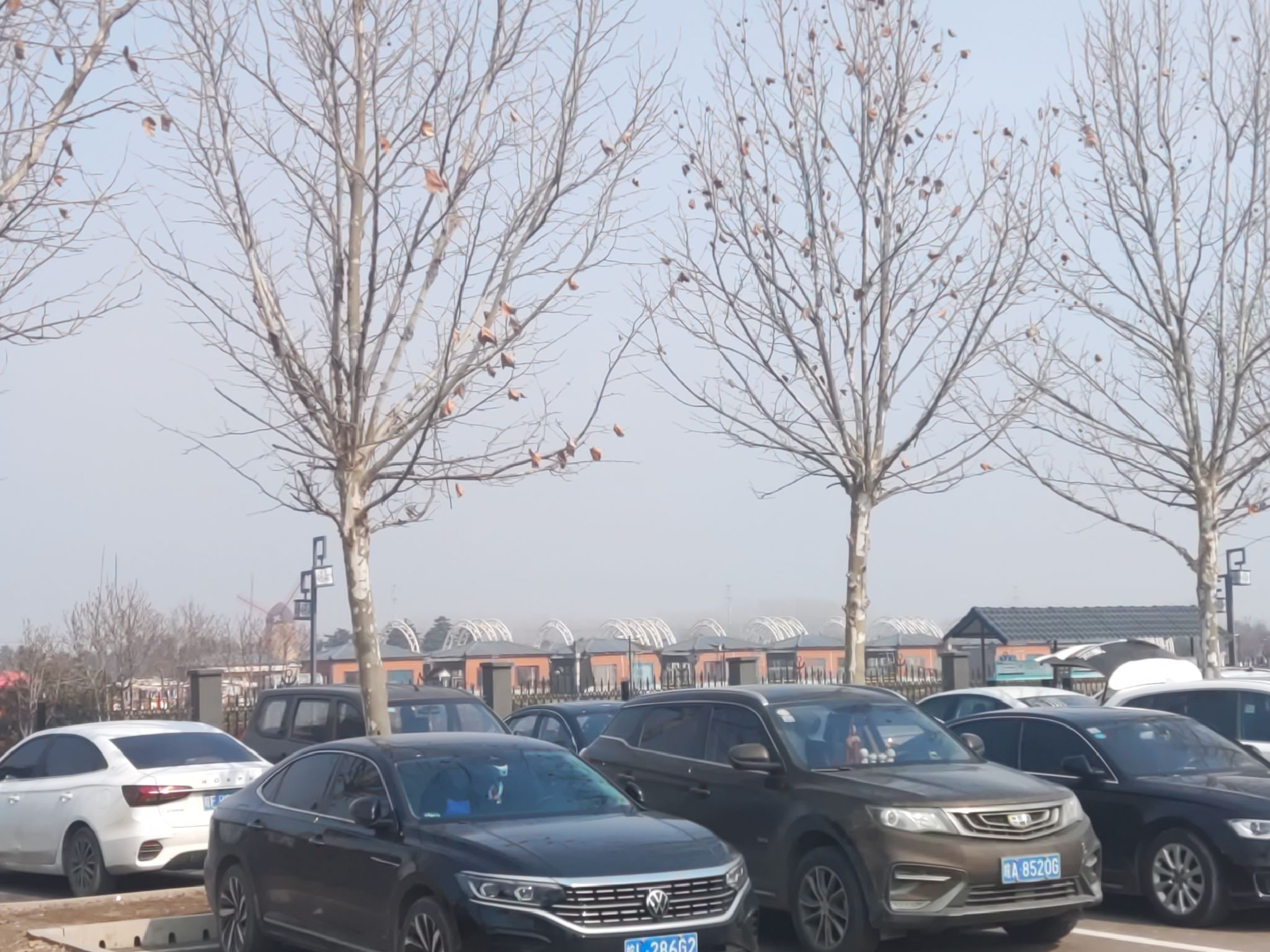 中国大运河柳孜文化园景区旅行图片 1