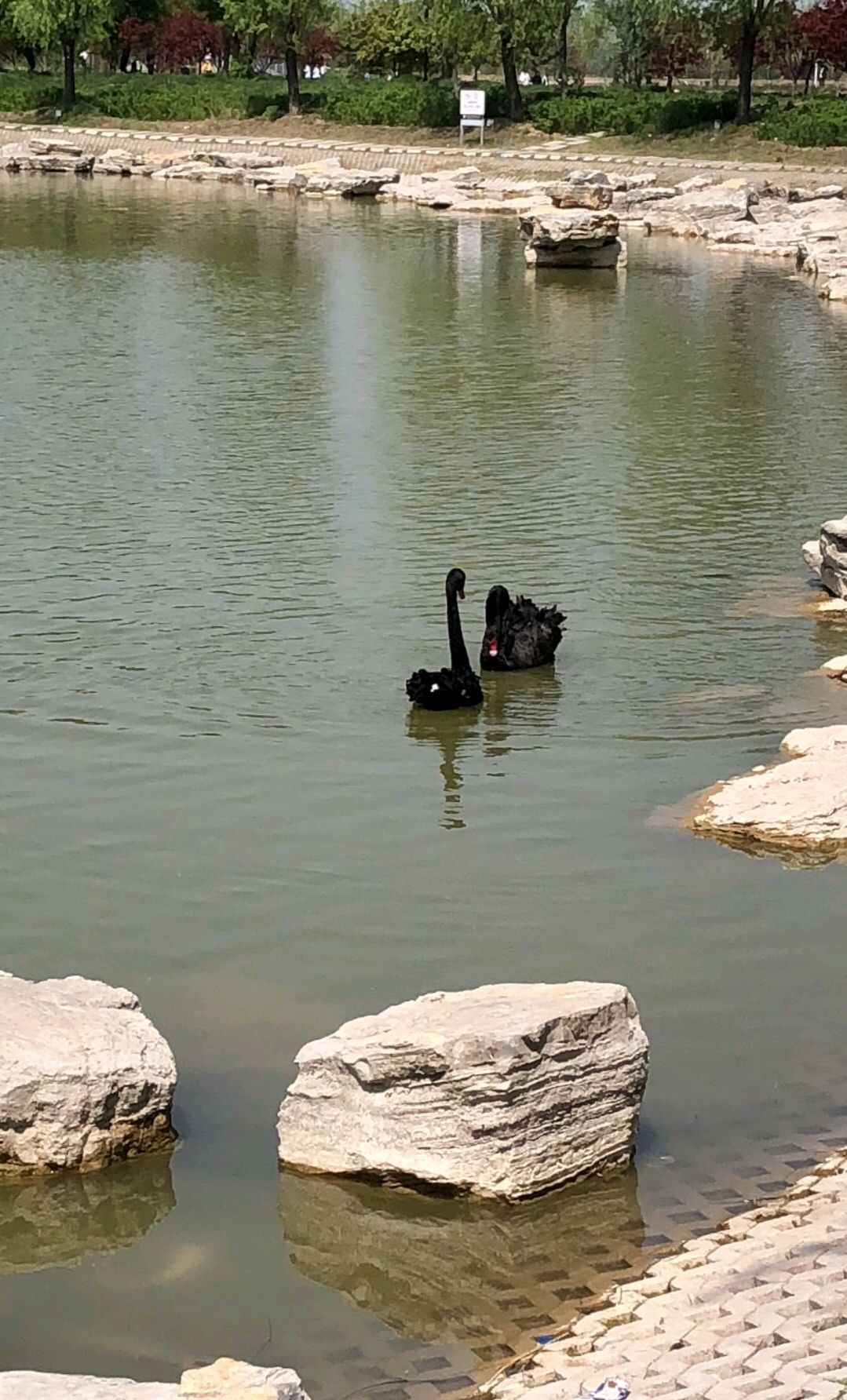 中国大运河柳孜文化园景区旅行图片 1