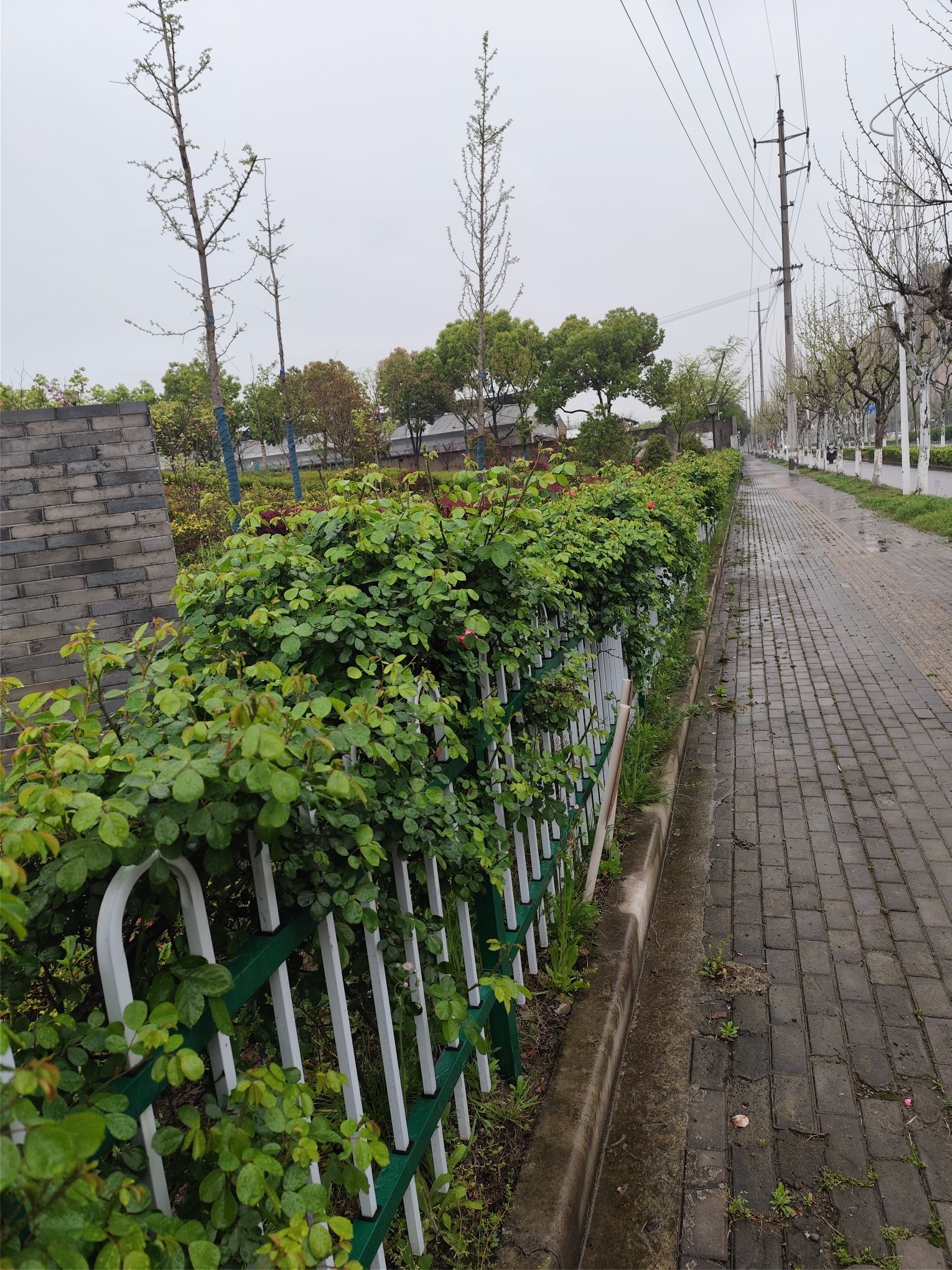 陇南公园旅行图片 2