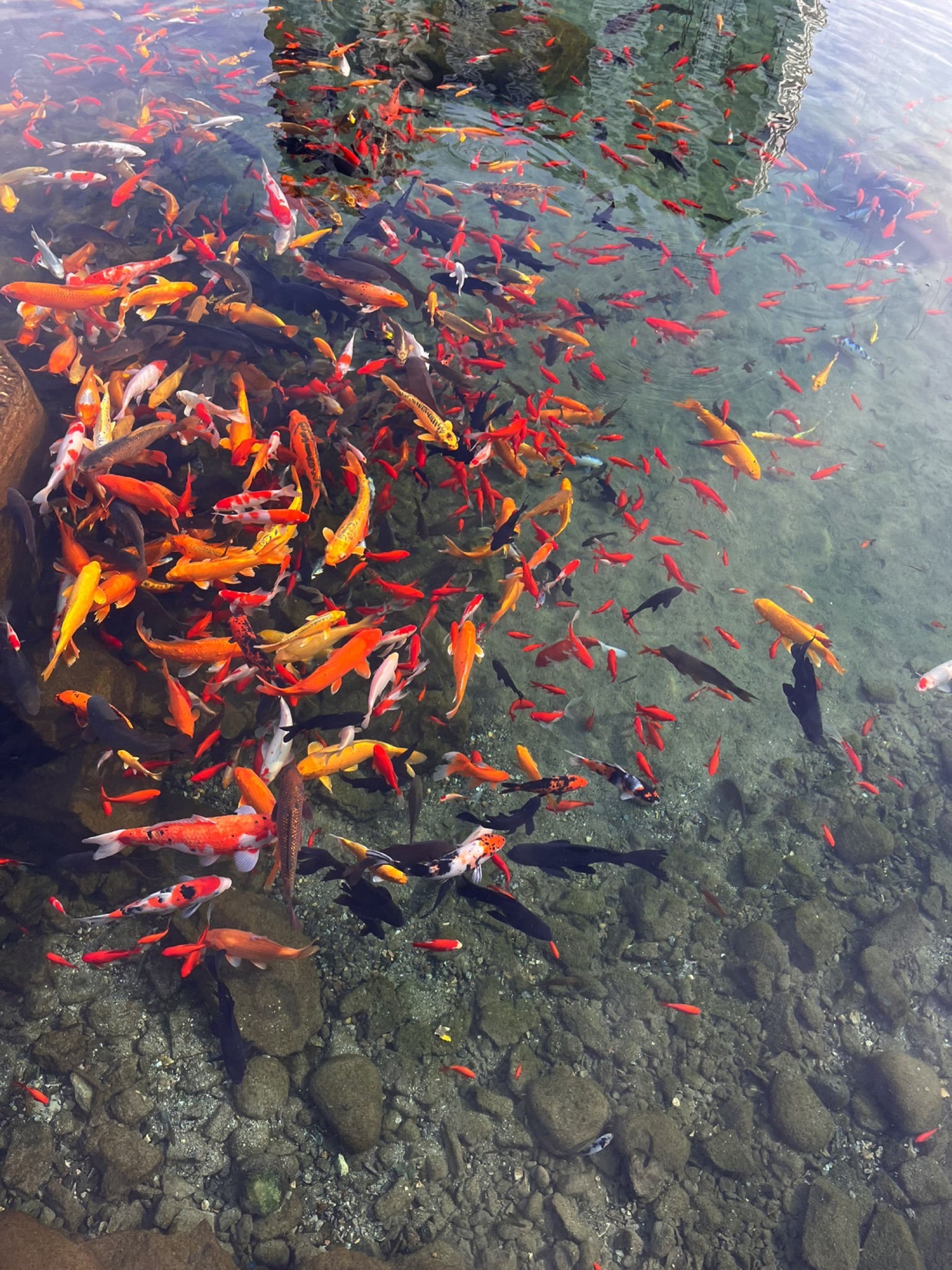 黑龙洞风月关旅行图片 1