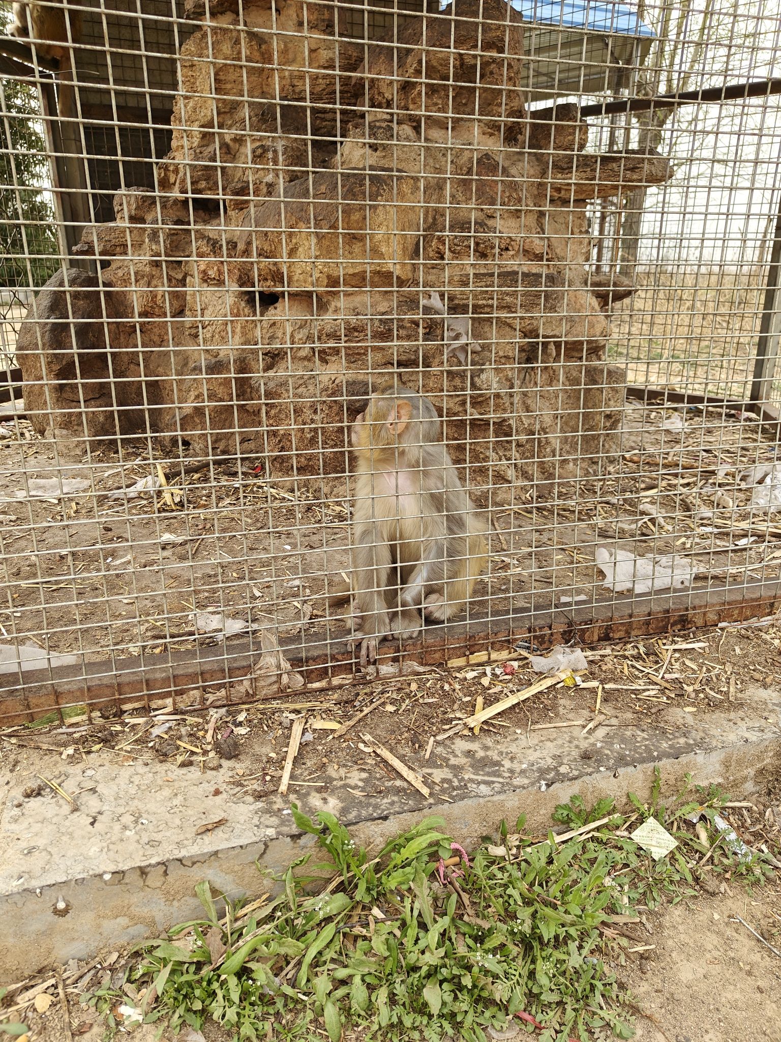 东良镇动物园旅行图片 1