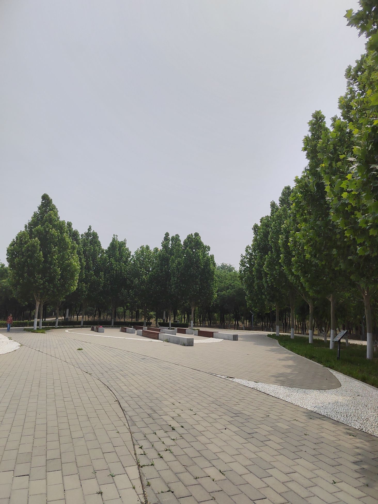 永定河滨水森林公园旅行图片 2
