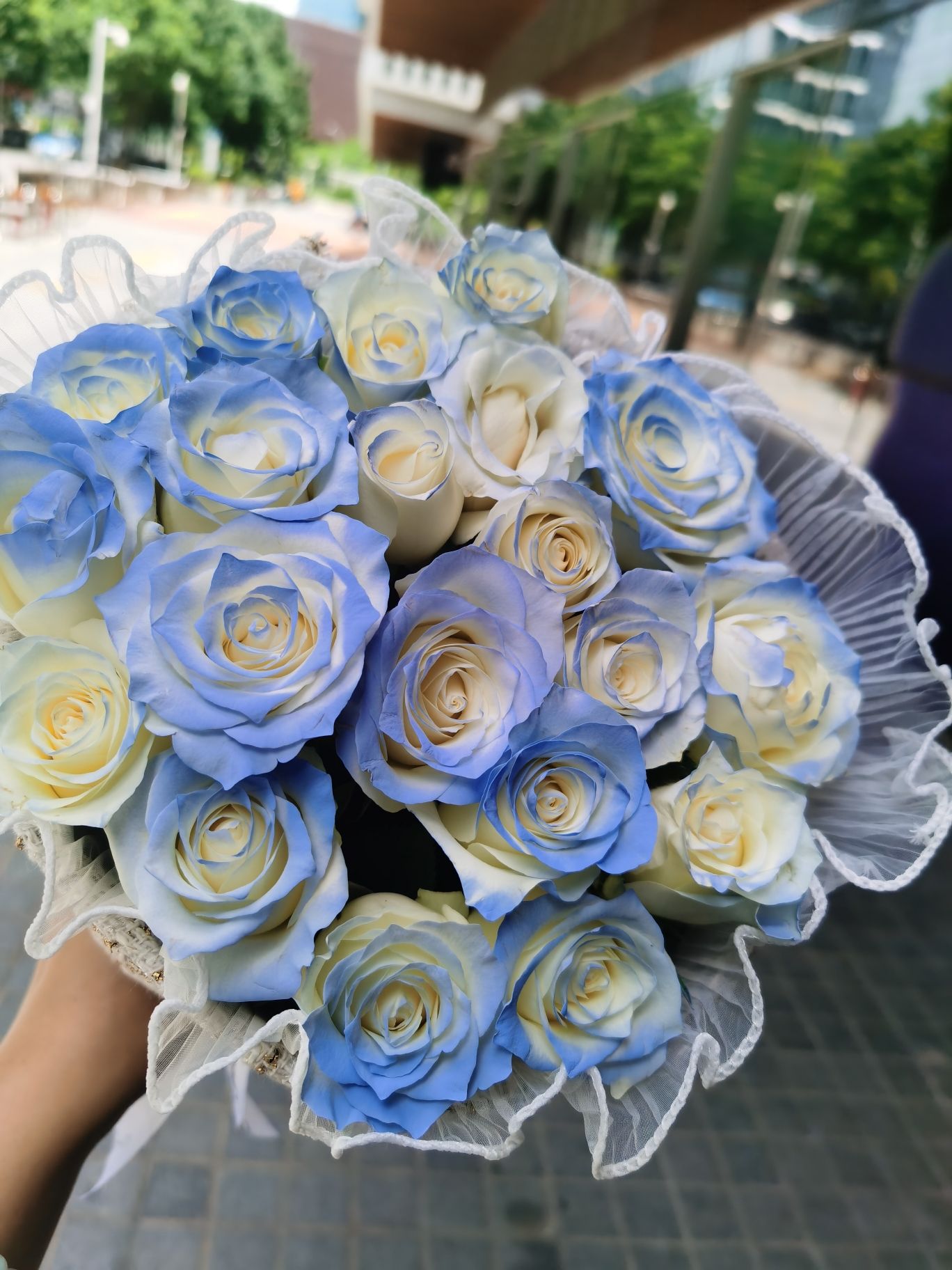 深圳网络花店(福田店)
