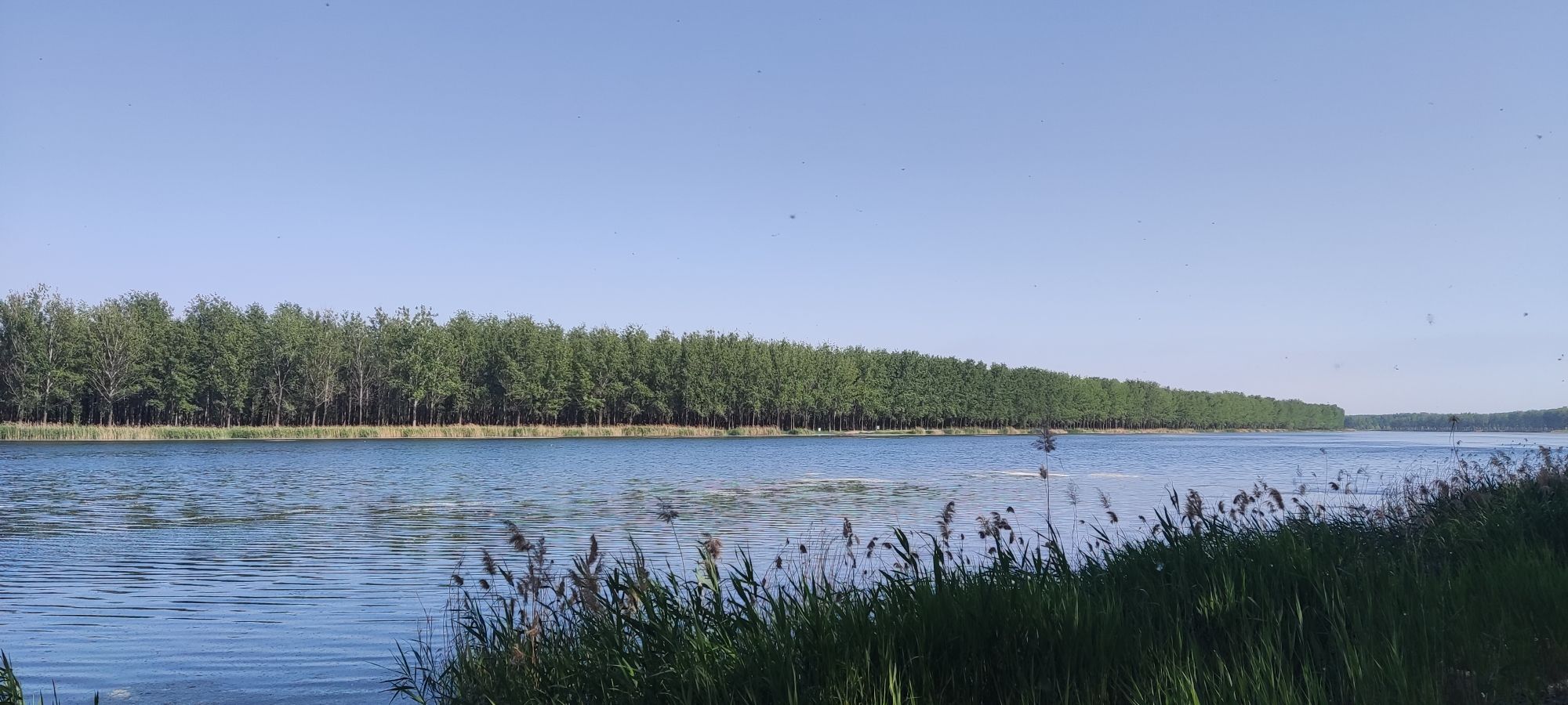 顺义新城滨河森林公园旅行图片 2