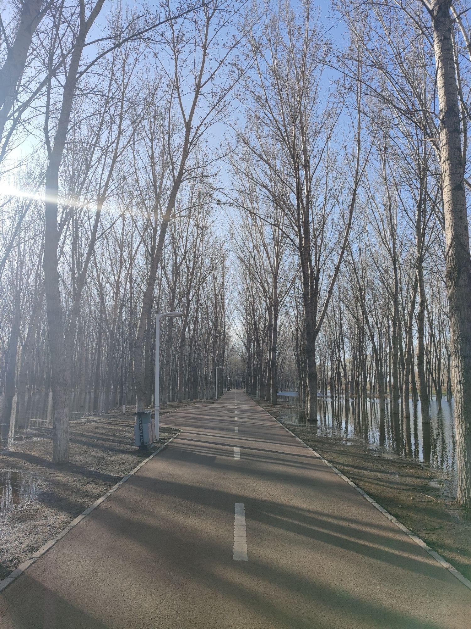 顺义新城滨河森林公园旅行图片 3