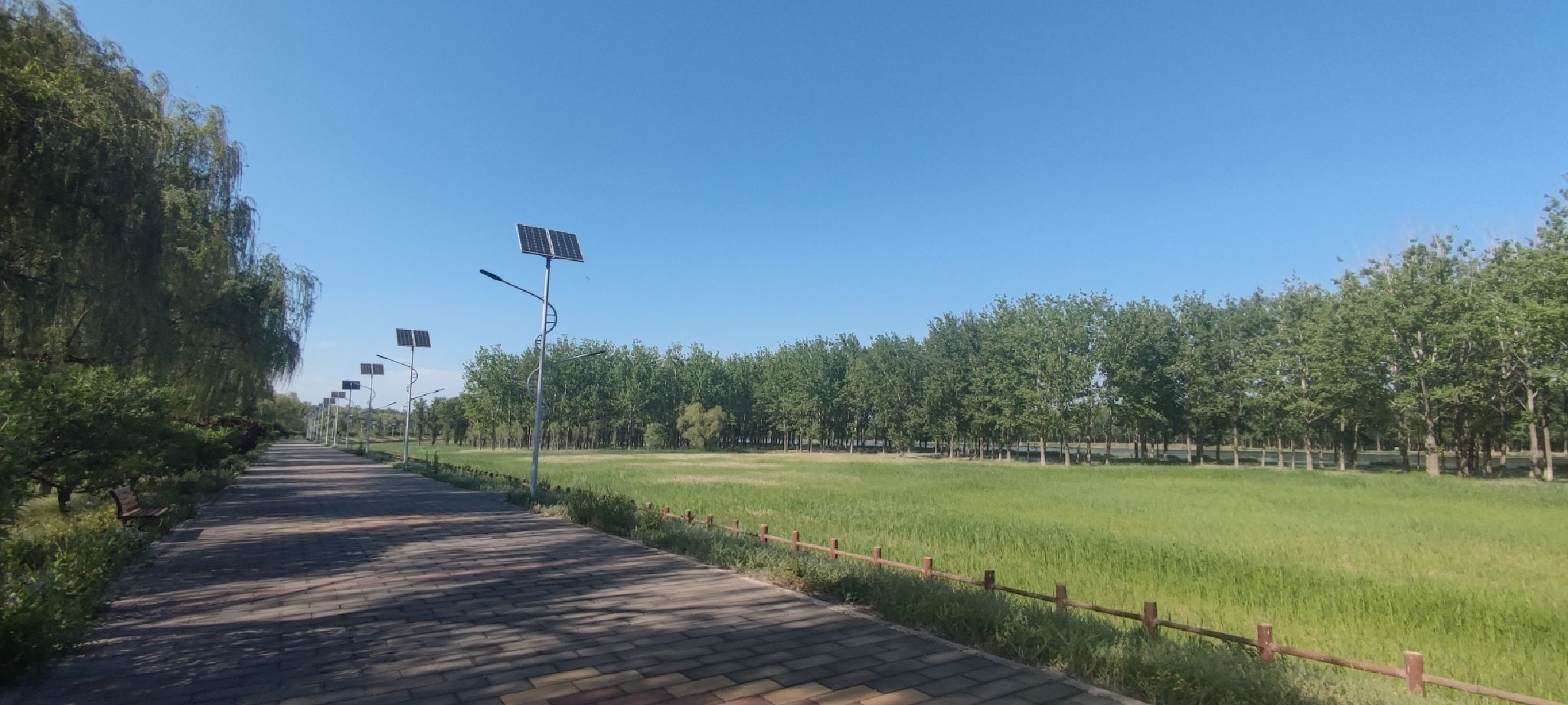 顺义新城滨河森林公园旅行图片 1