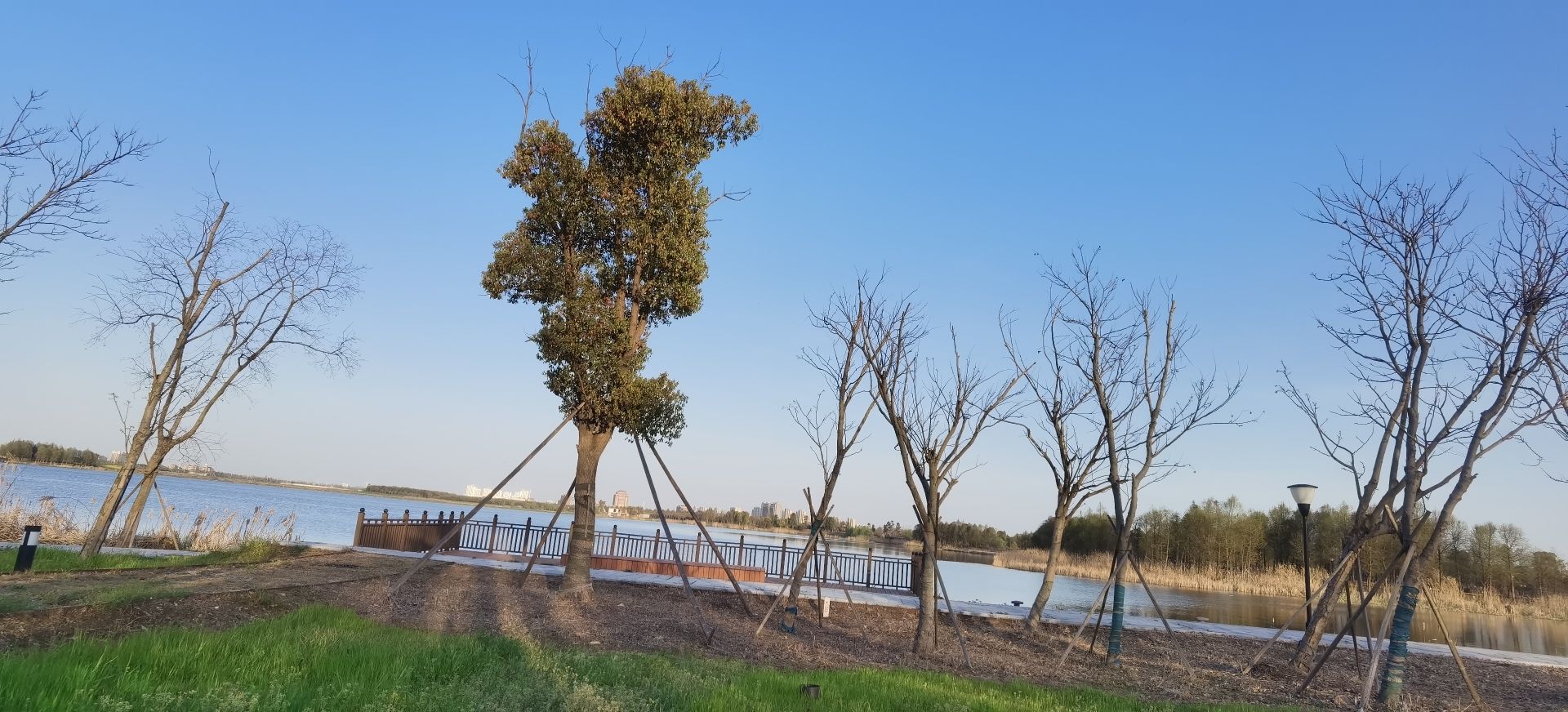 向海湖生态公园旅行图片 3
