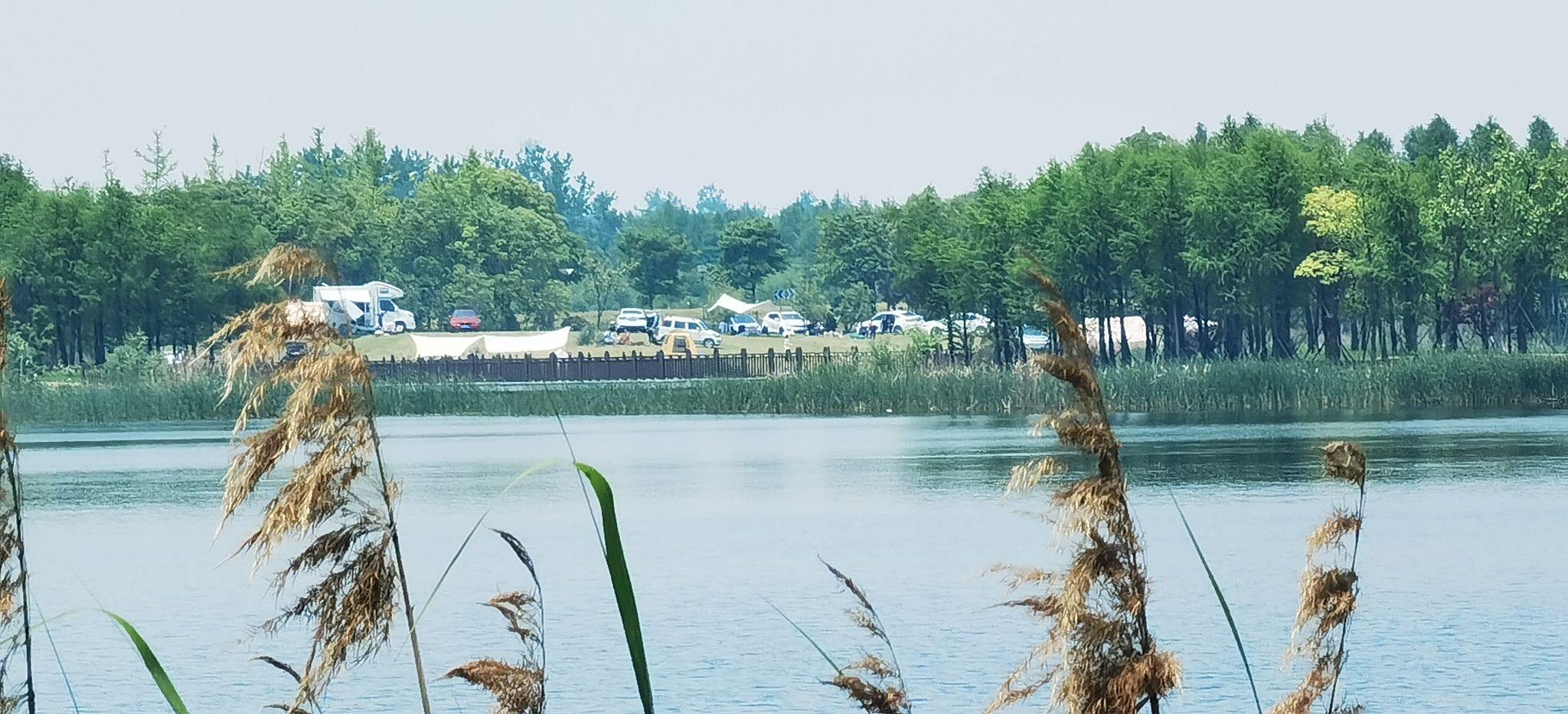 向海湖生态公园旅行图片 3