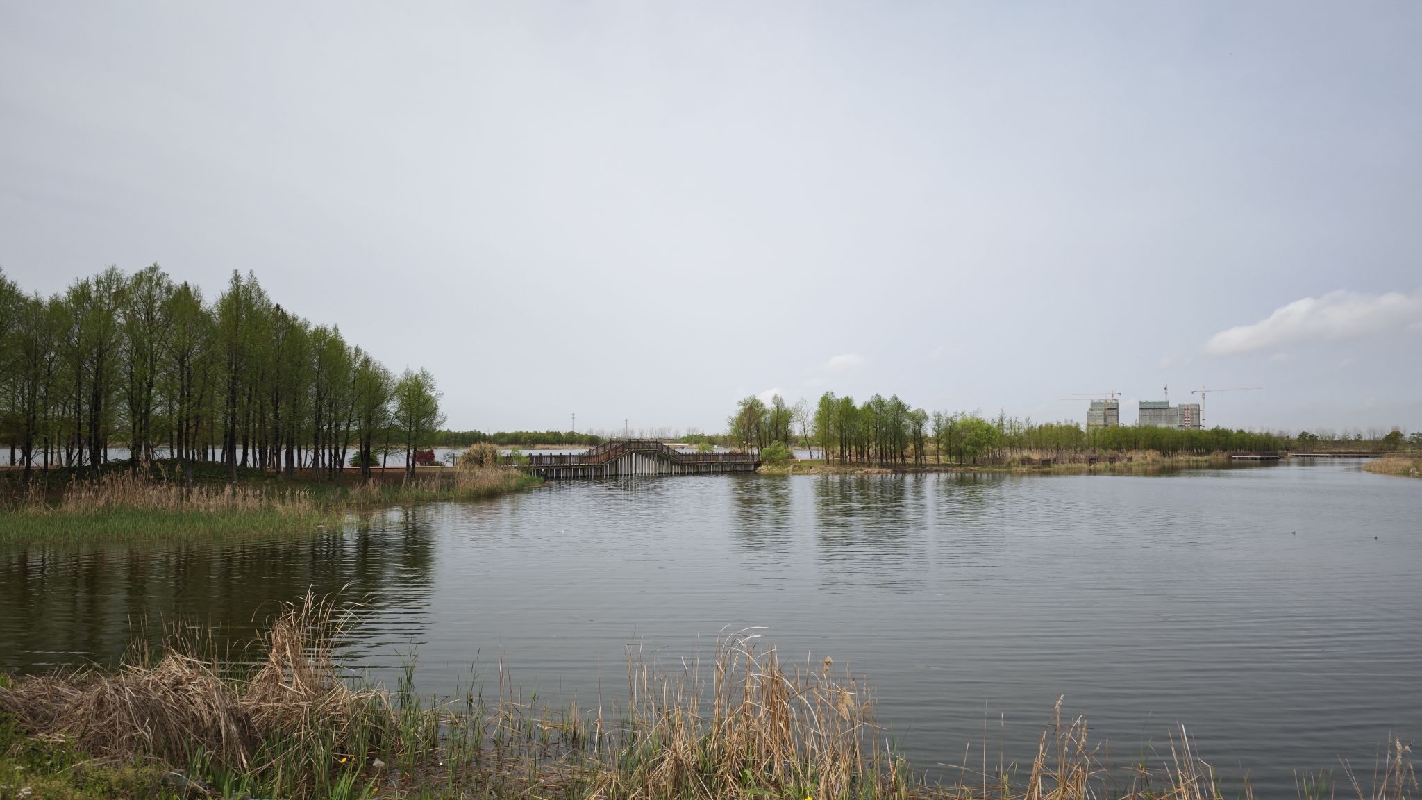 向海湖生态公园旅行图片 1