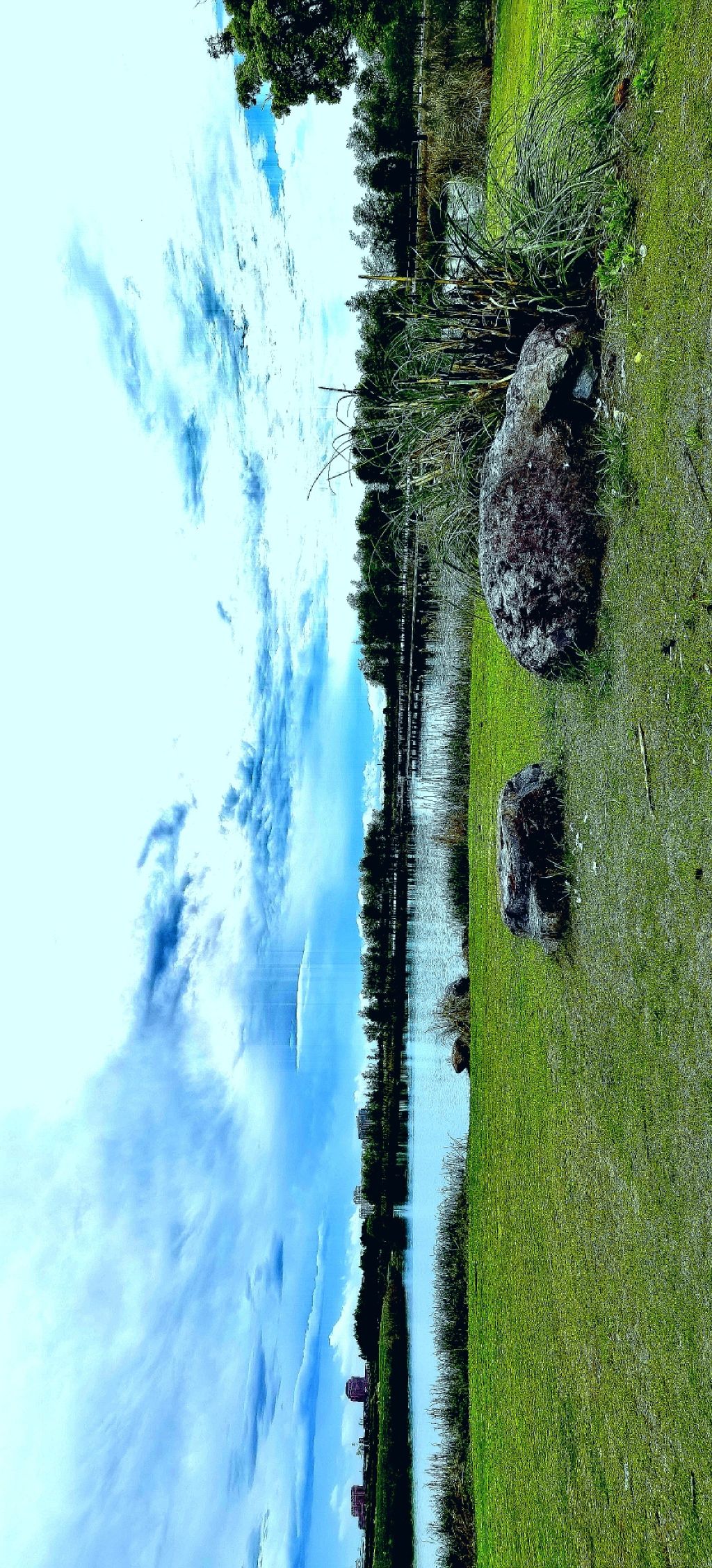 向海湖生态公园旅行图片 2