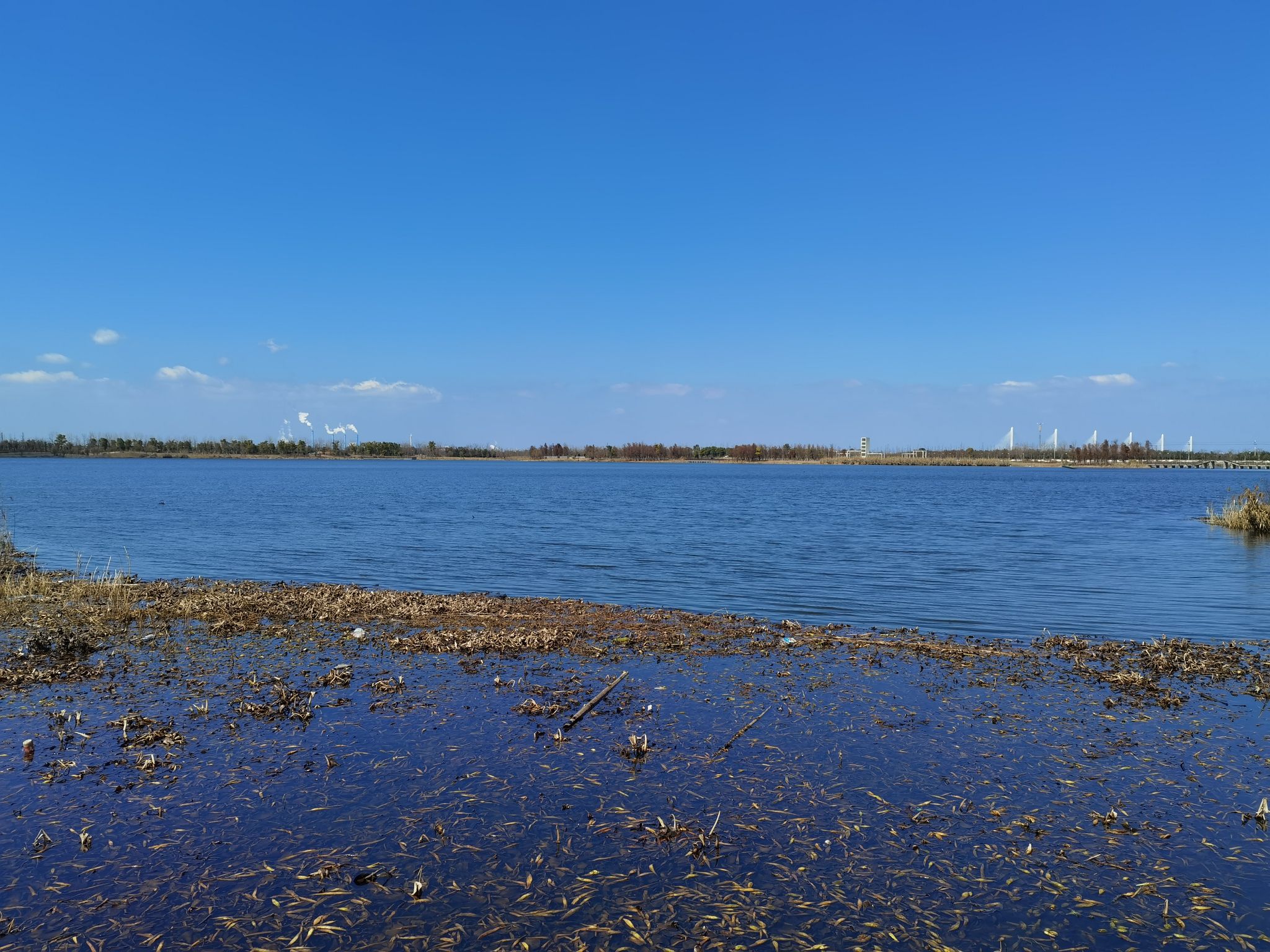 向海湖生态公园旅行图片 2