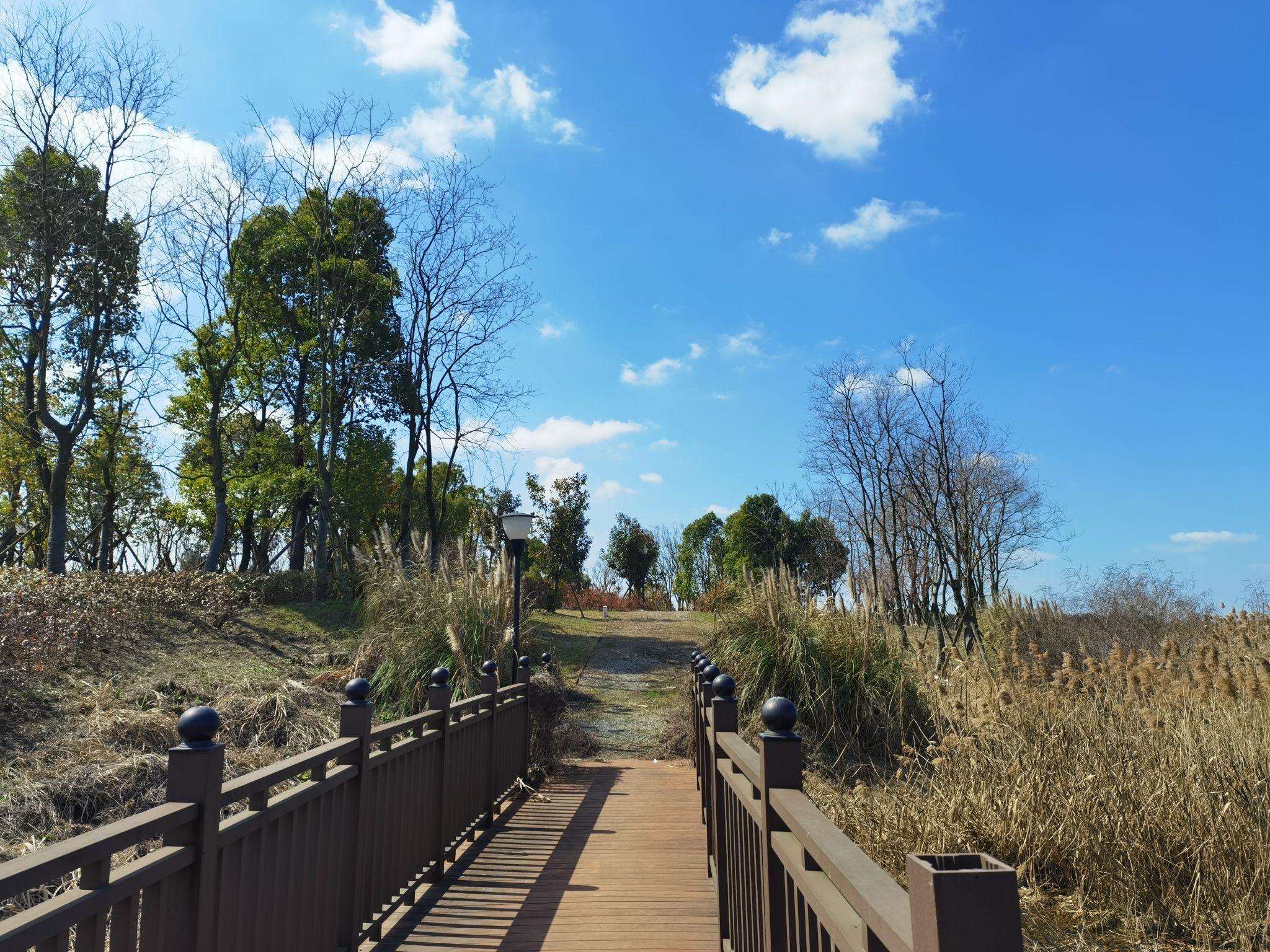 向海湖生态公园旅行图片 1