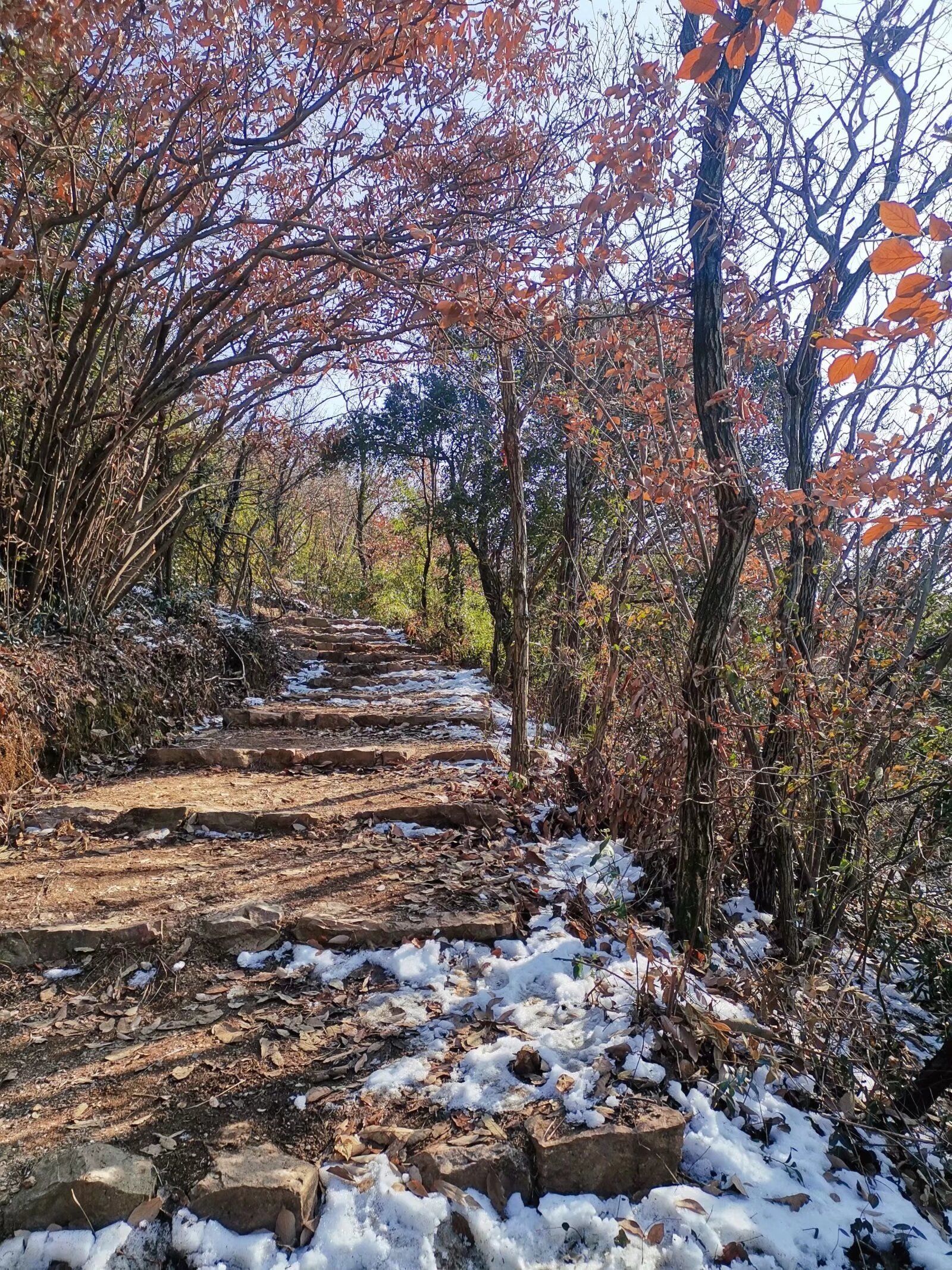 米堆山旅行图片 2