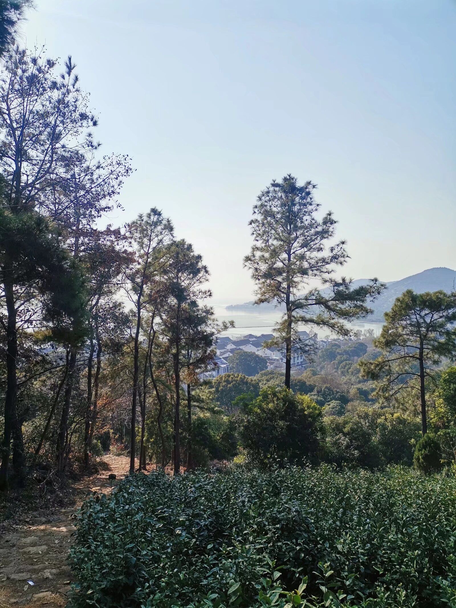 米堆山旅行图片 3