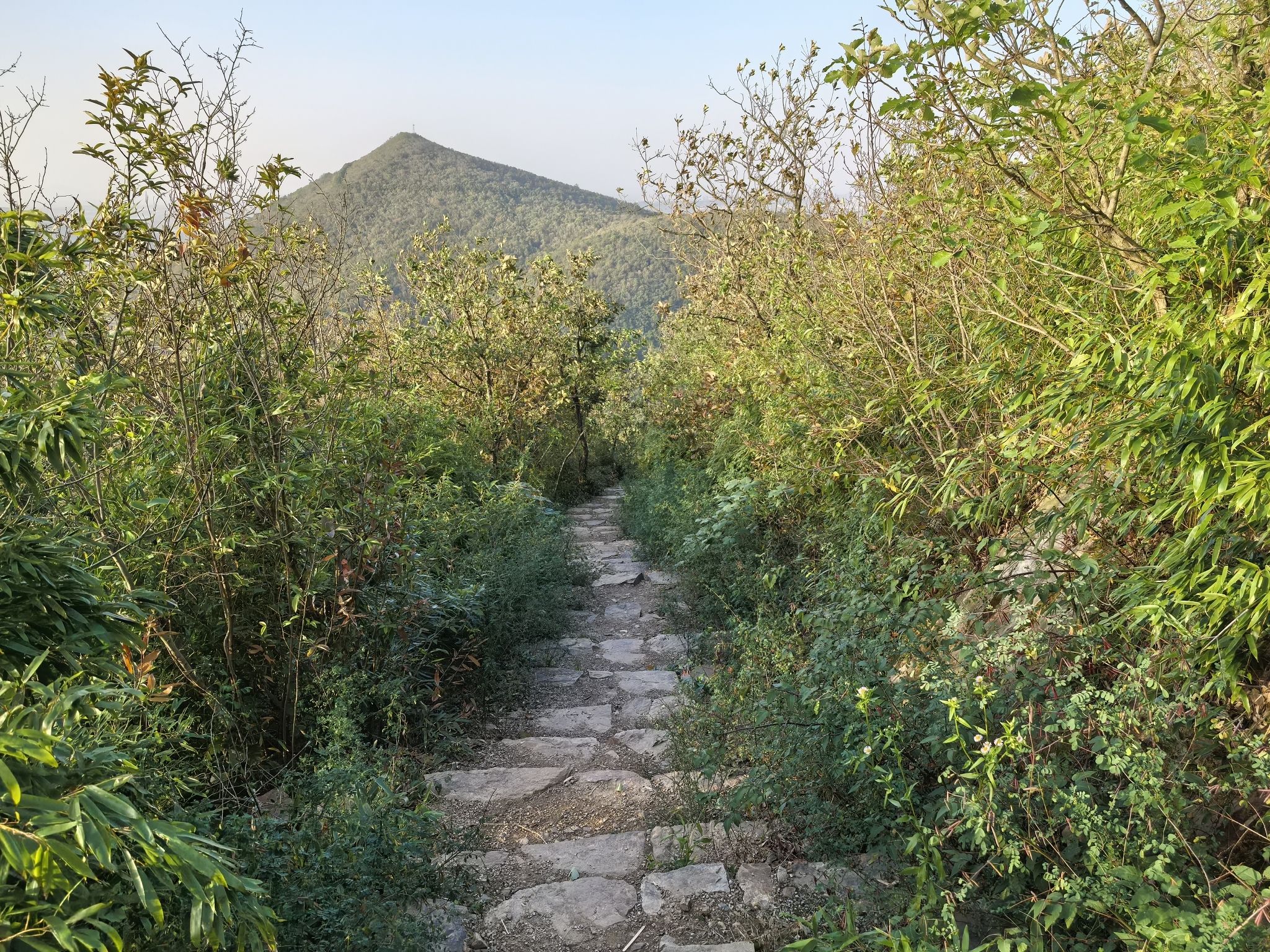 米堆山旅行图片 3