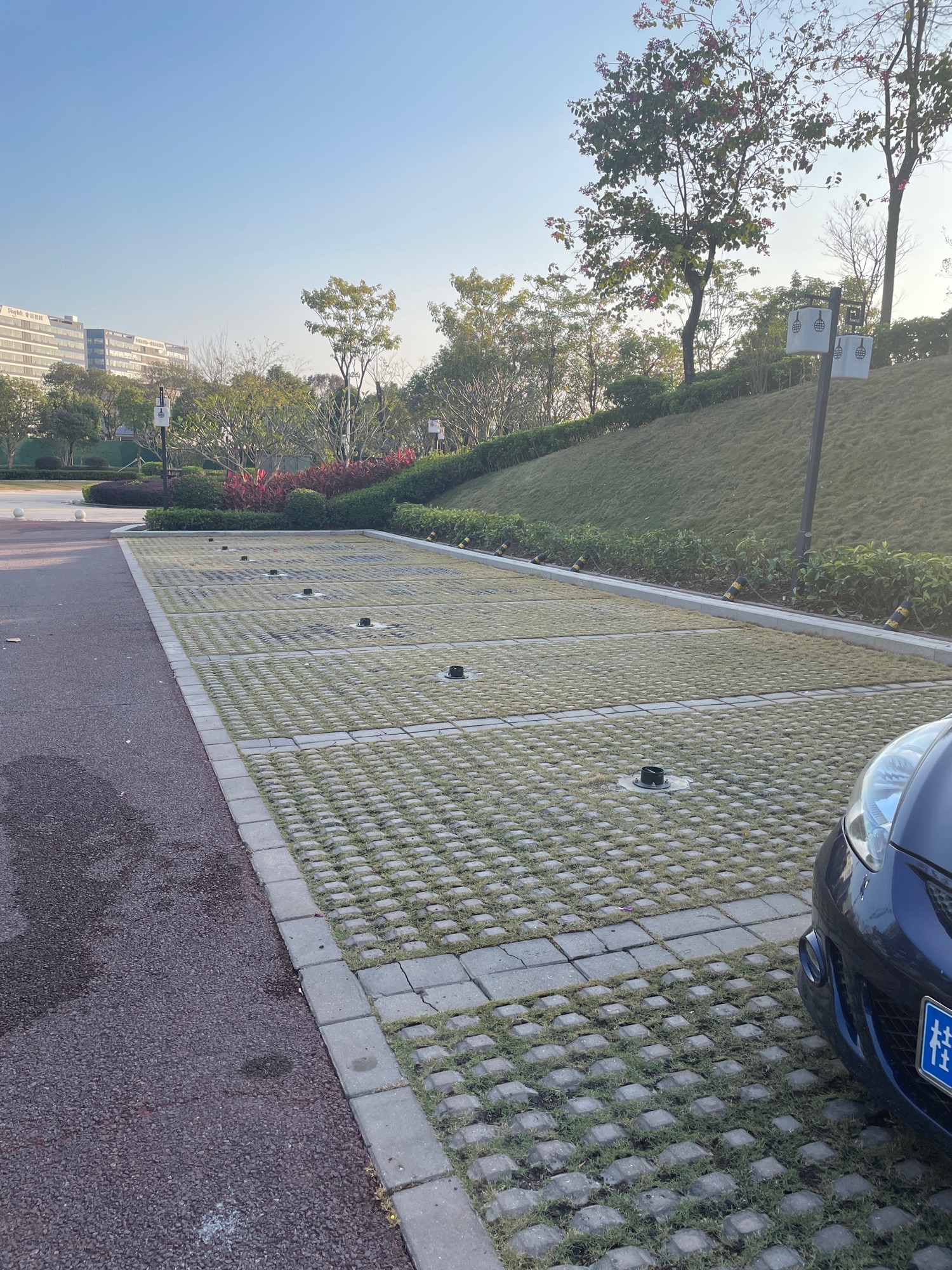 榴岭公园旅行图片 2