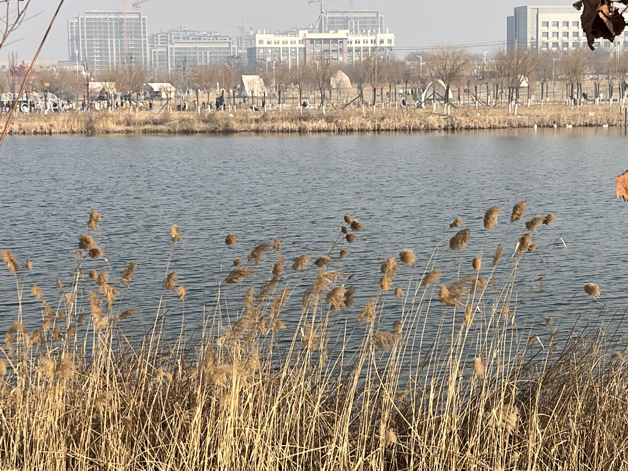 青阳广场旅行图片 3