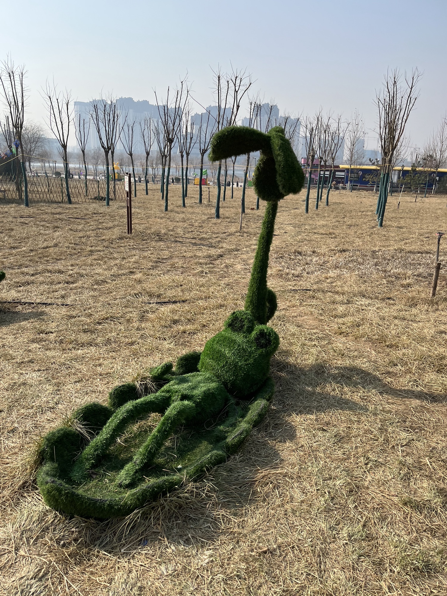 青阳广场旅行图片 1