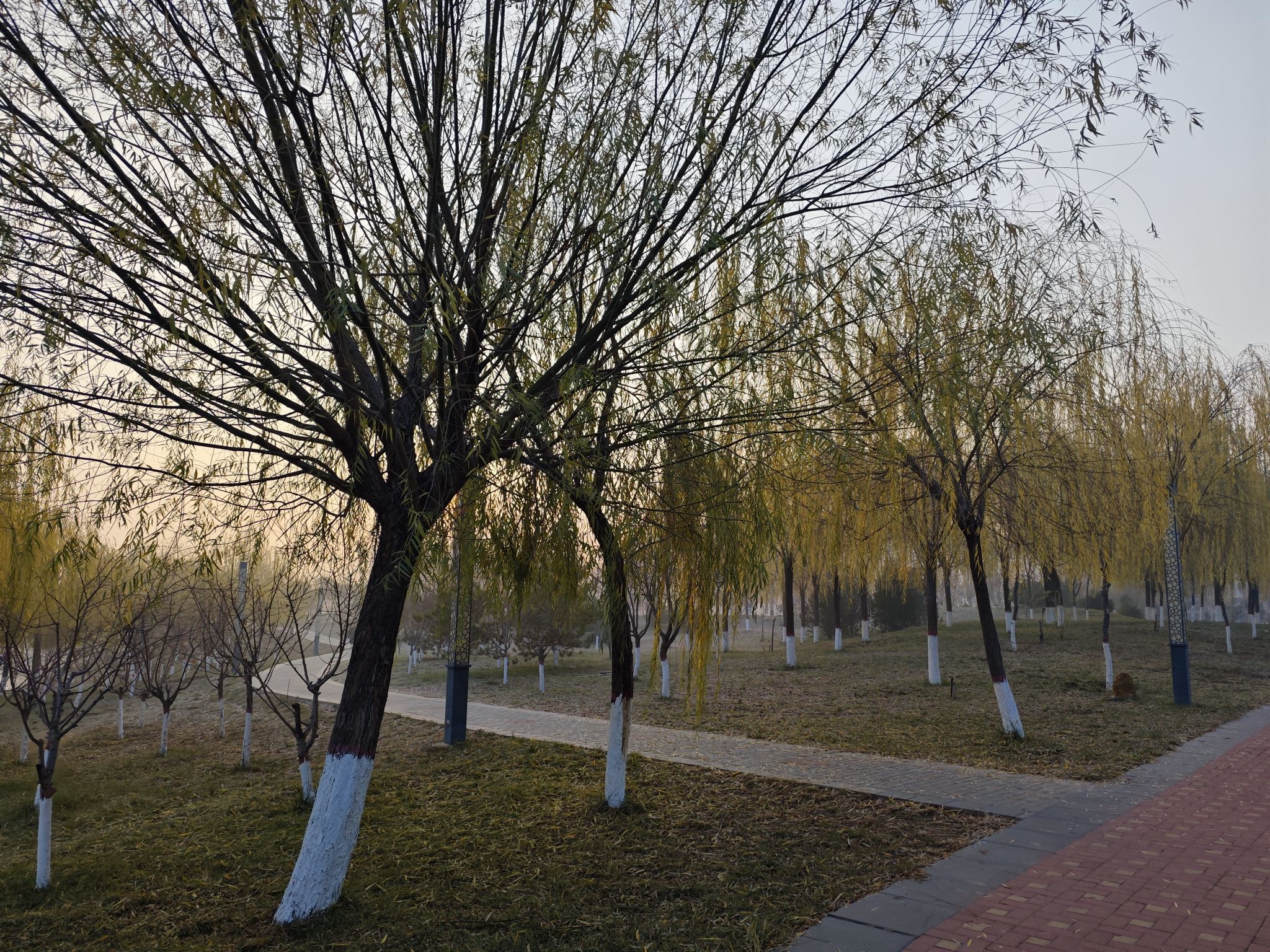 青阳广场旅行图片 3