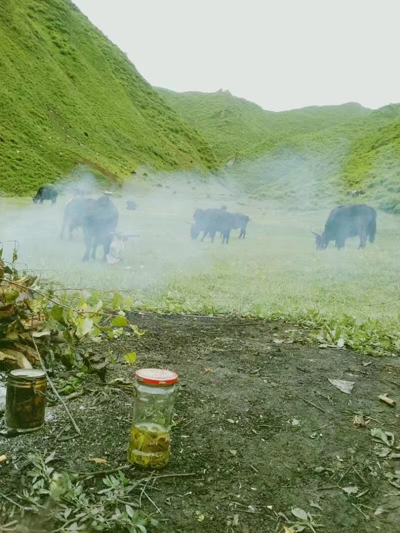 王旗镇上沟门凤冠顶自然景区的第1张图片的图片资料