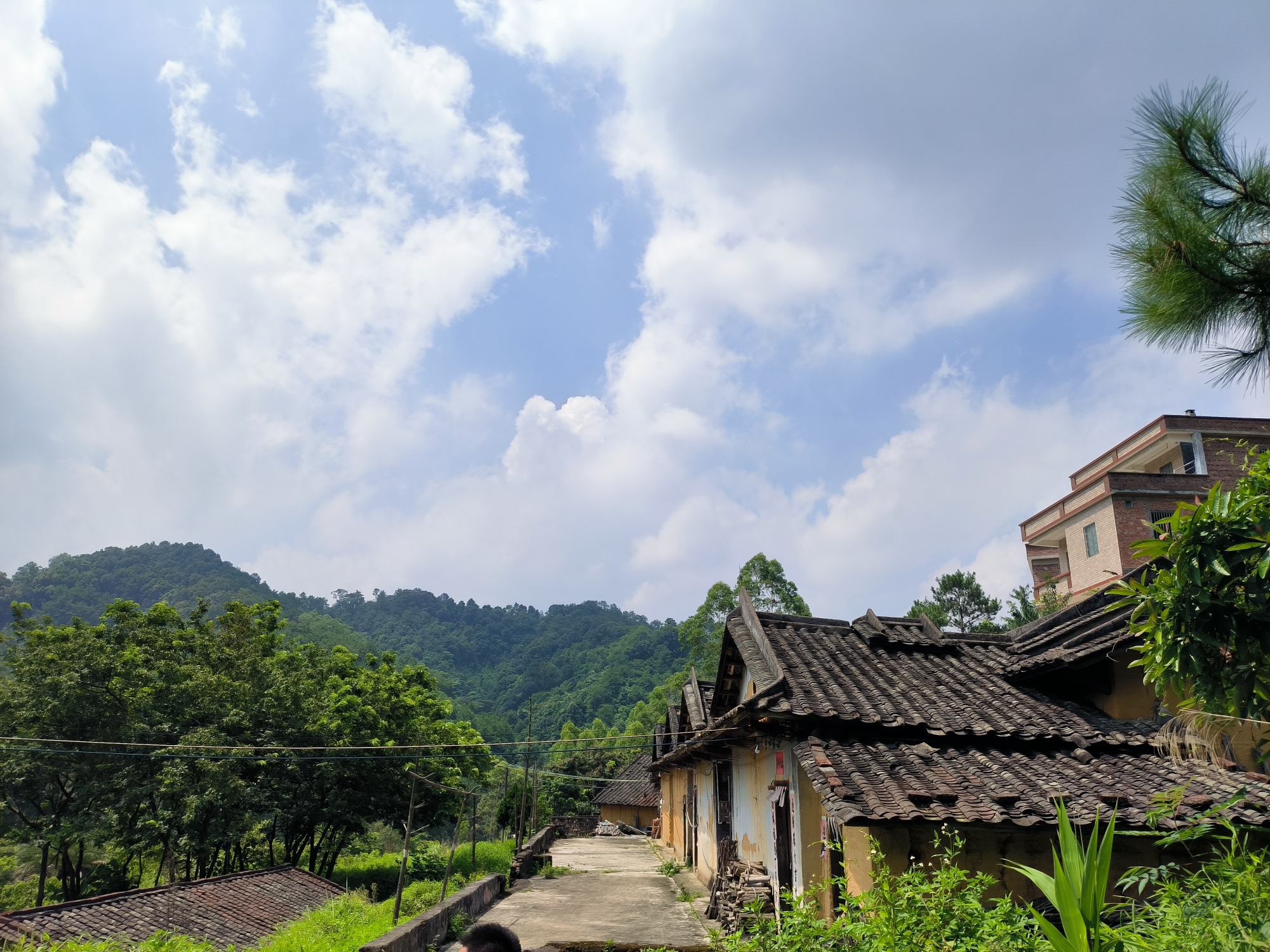 飞天马瀑布旅行图片 1