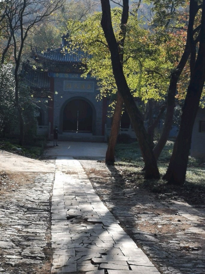 陆丰市神山森林公园旅行图片 2