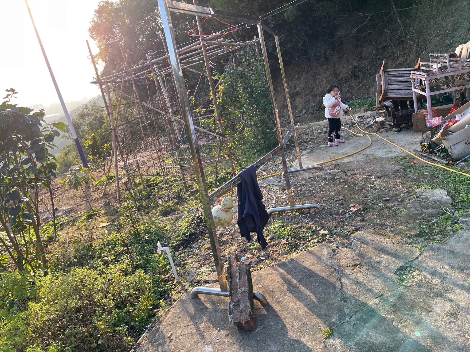 陆丰市神山森林公园旅行图片 3