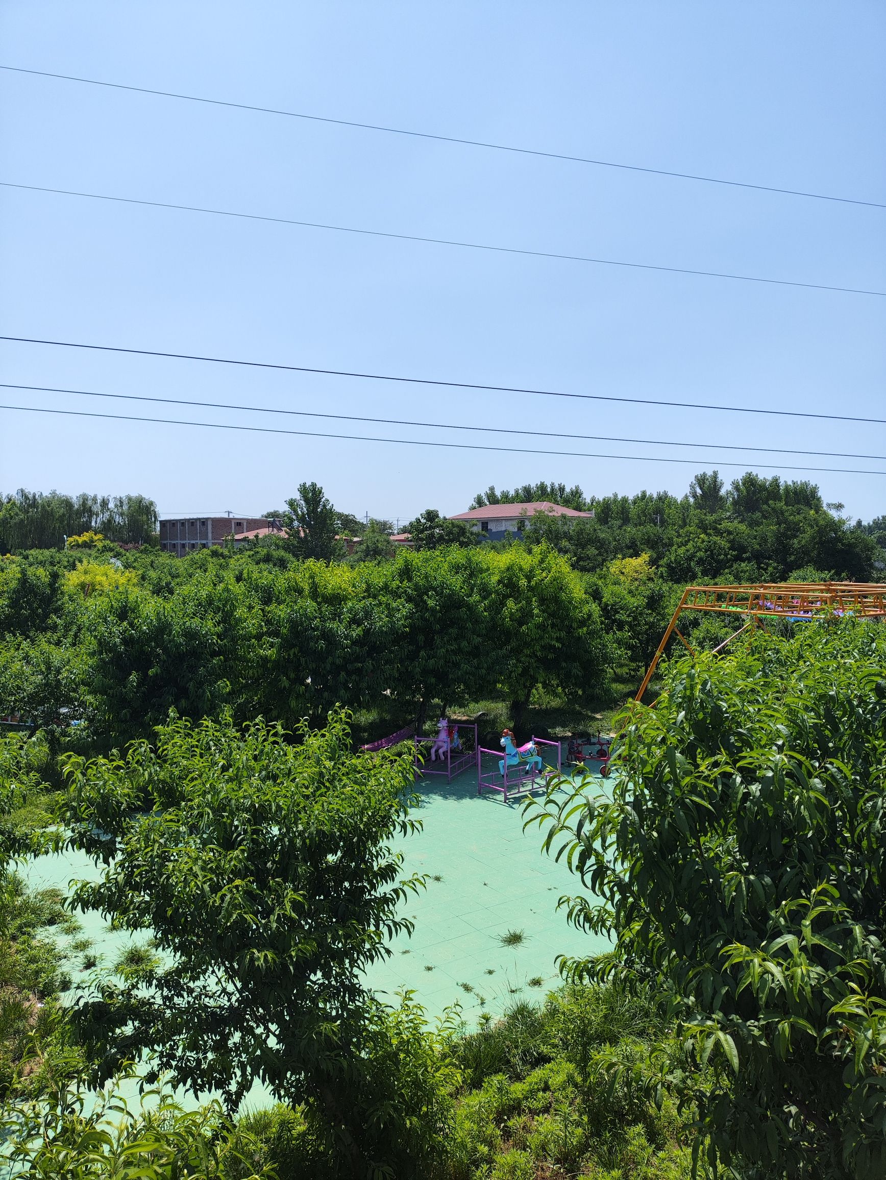 东良公园旅行图片 1