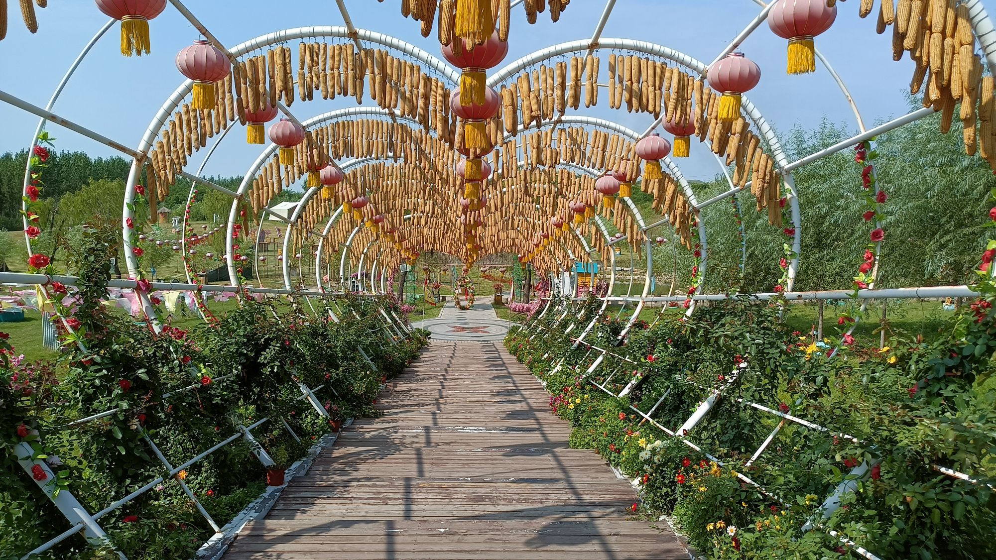 从前漫花谷旅行图片 2