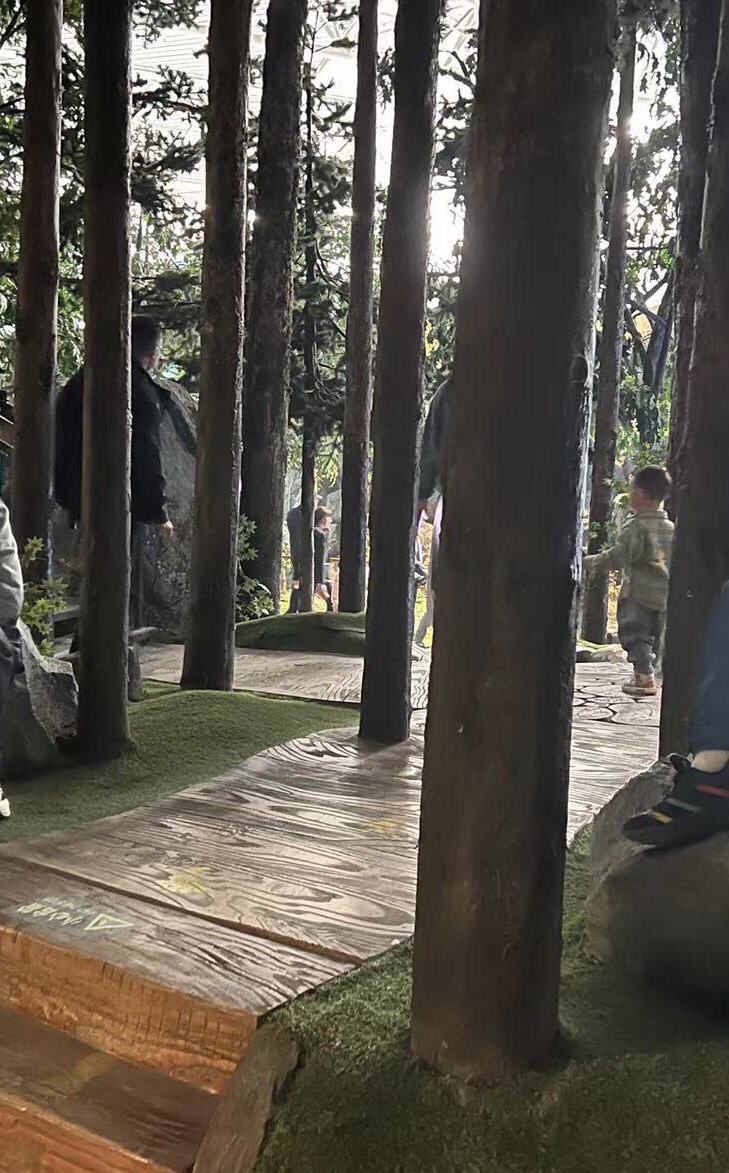 长征郊野公园旅行图片 3