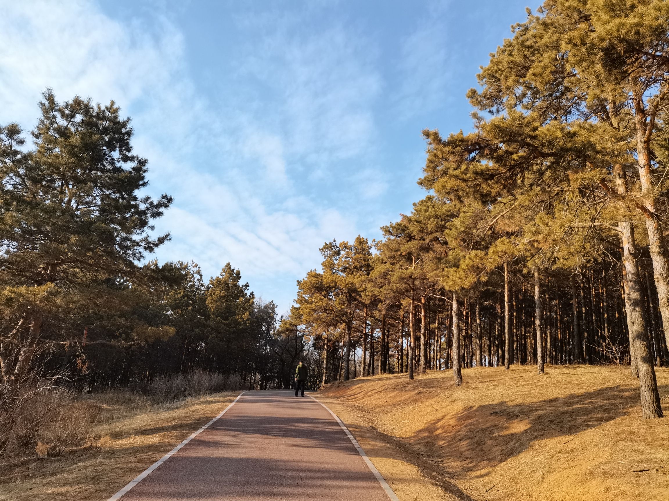 长征郊野公园旅行图片 1