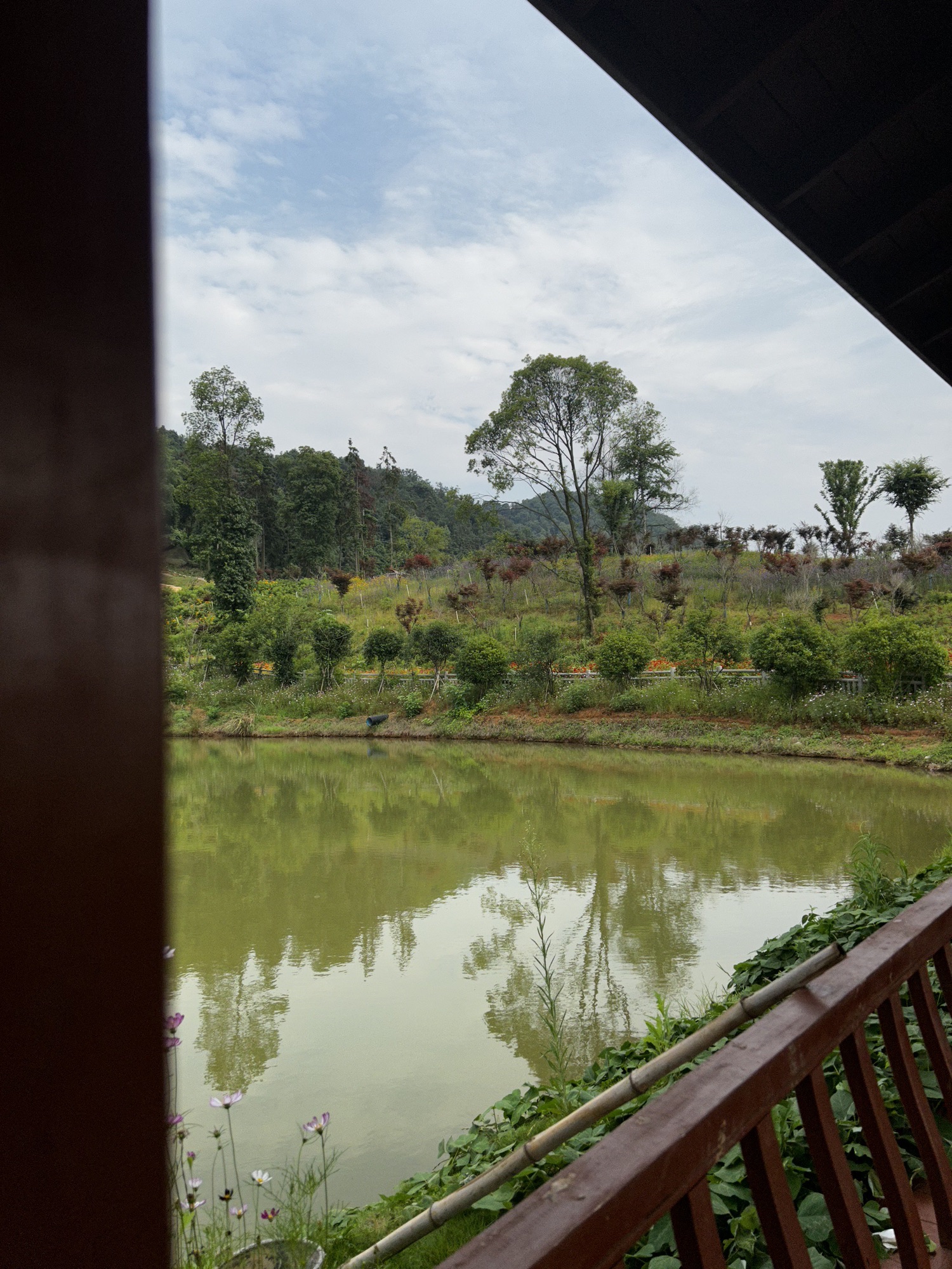 花溪谷旅行图片 3