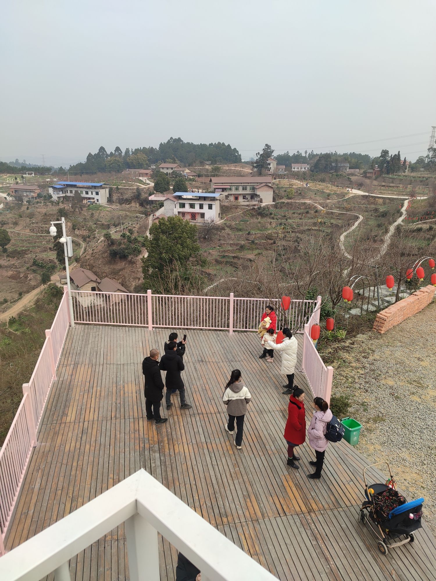 云岭金秋樱花海旅行图片 1
