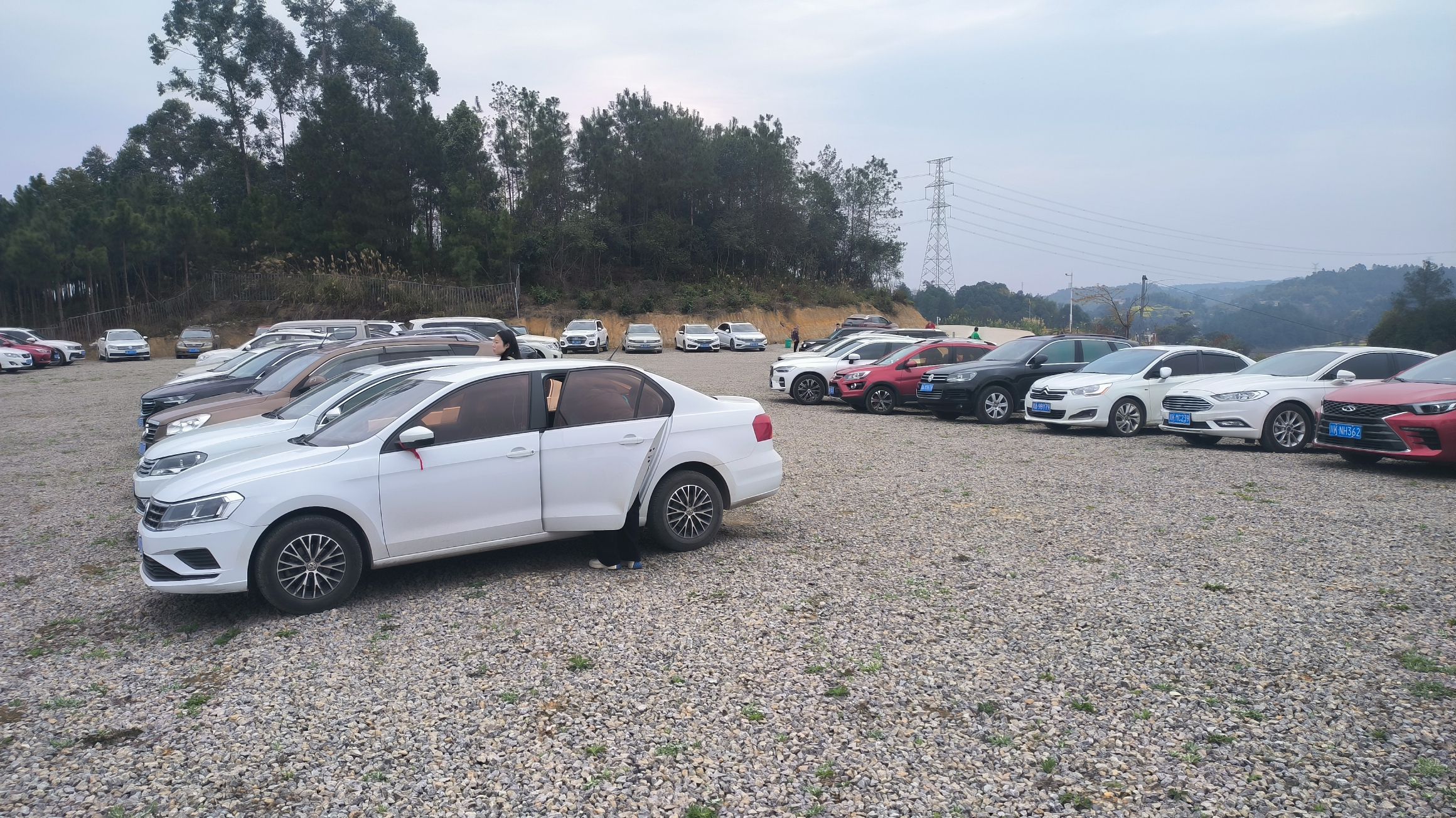 云岭金秋樱花海旅行图片 1