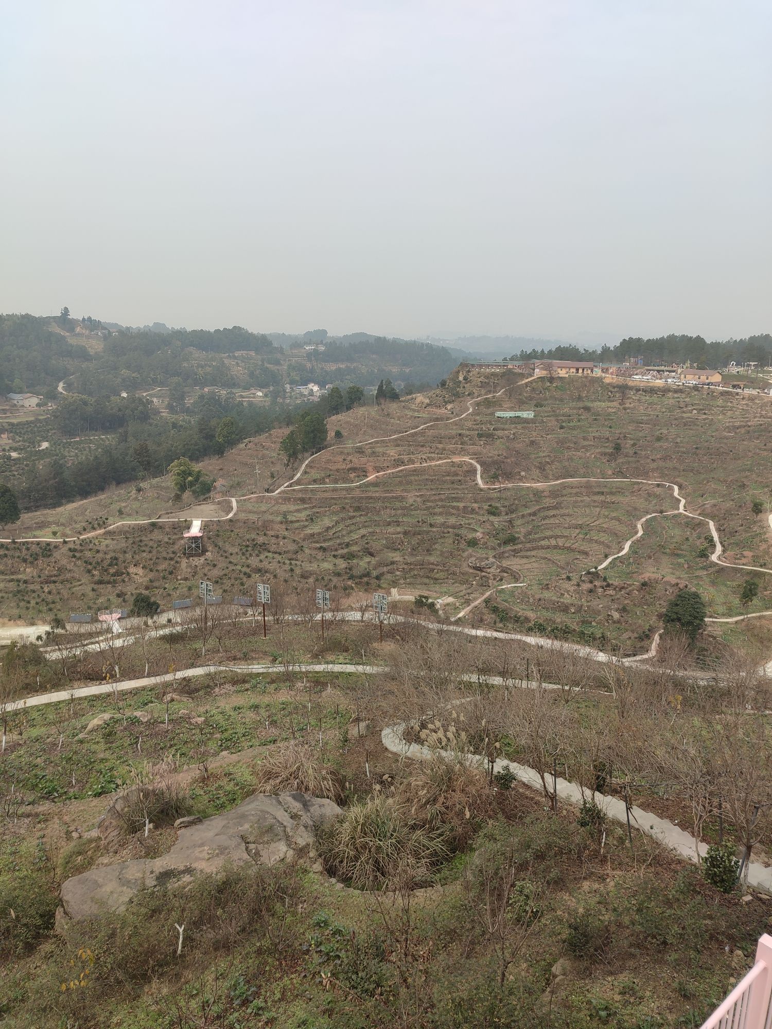 云岭金秋樱花海旅行图片 3