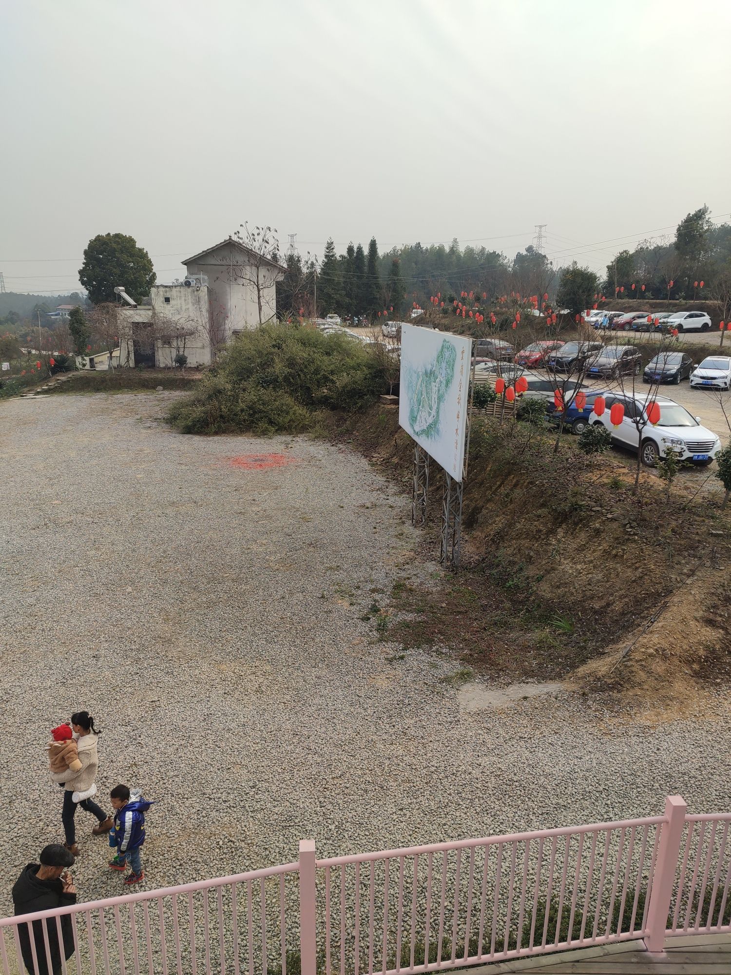 云岭金秋樱花海旅行图片 2
