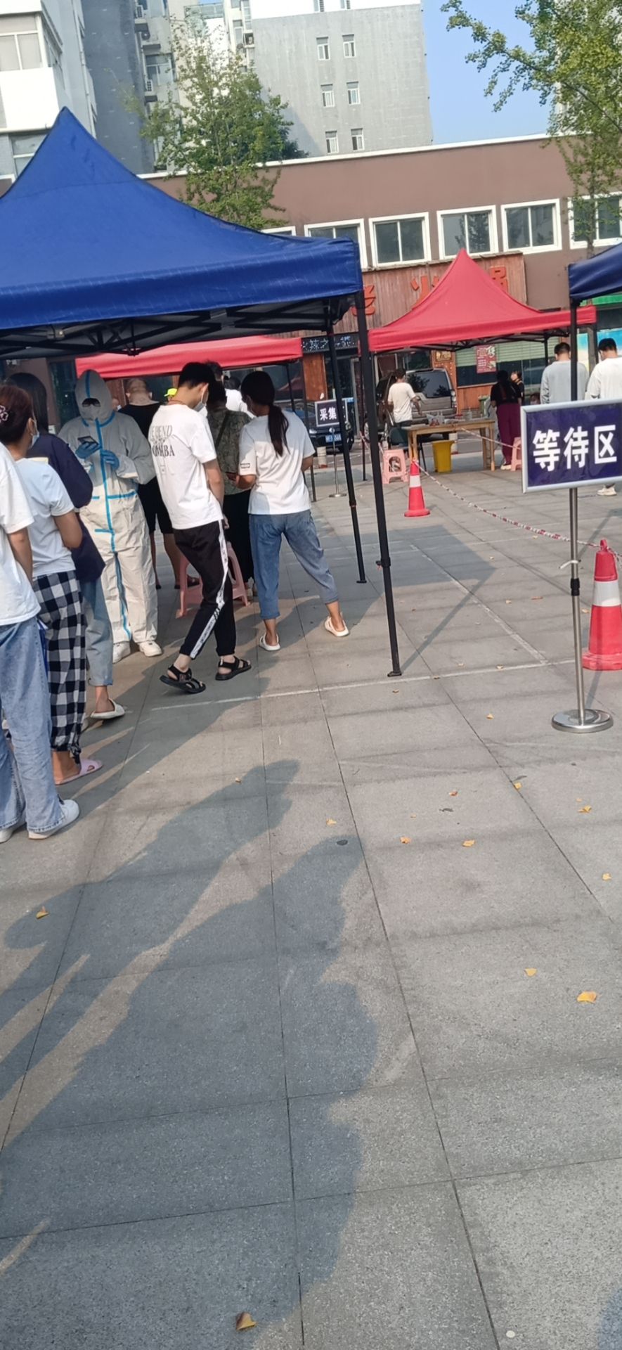向上园旅行图片 1