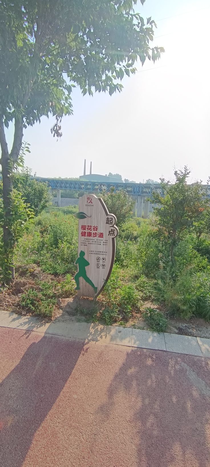 樱花谷旅行图片 2
